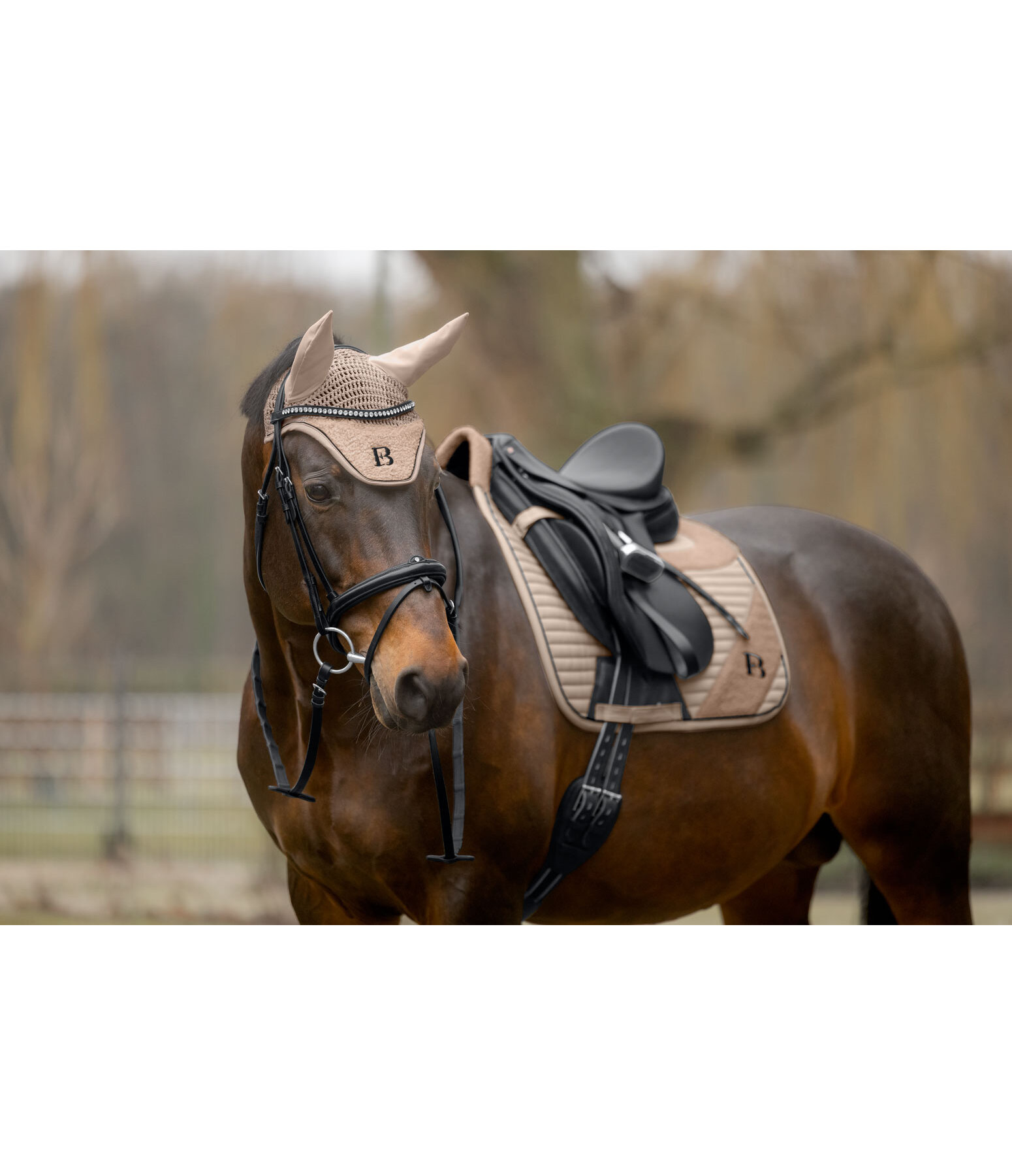 Teddy Fliegenhaube