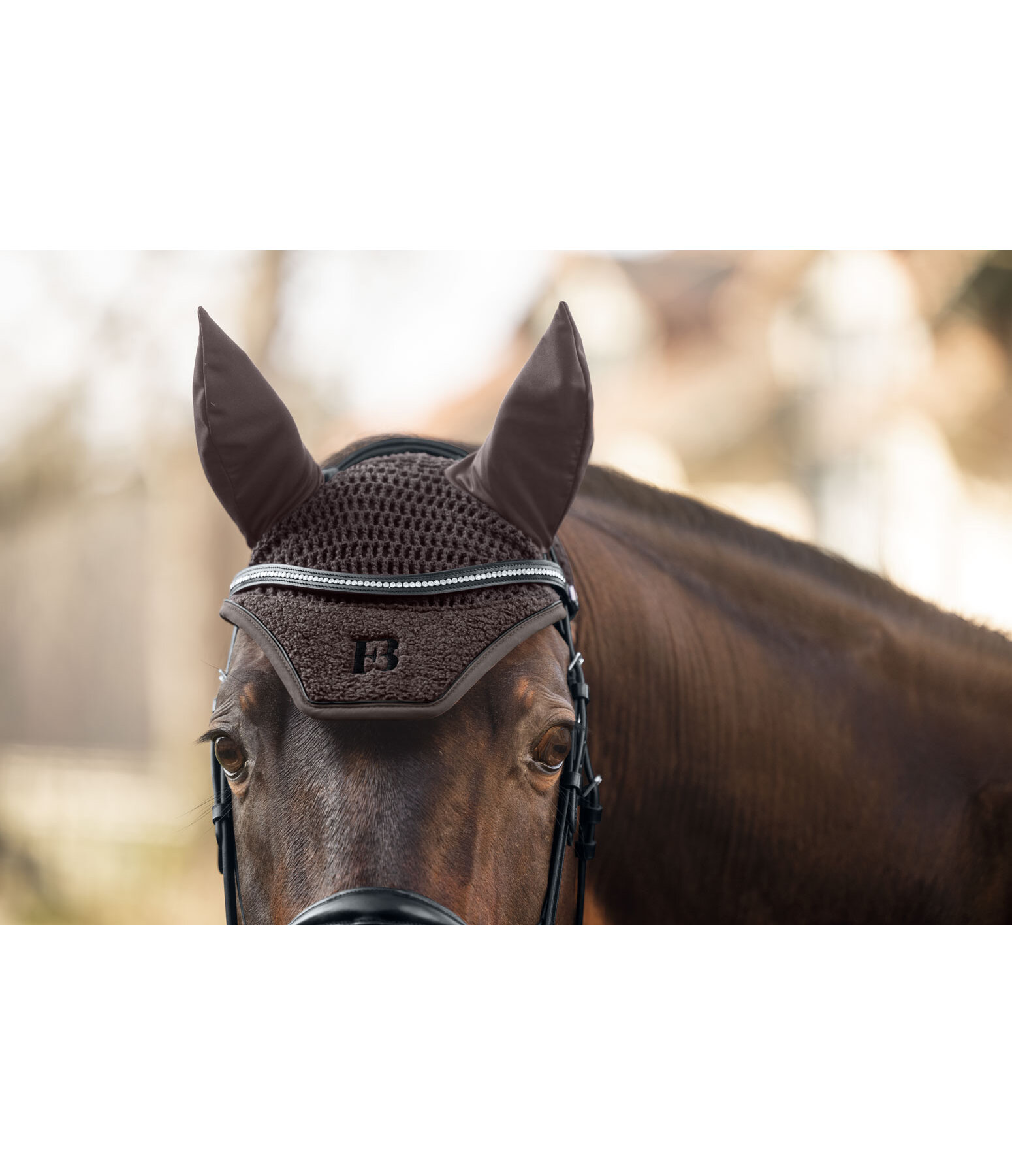 Teddy Fliegenhaube