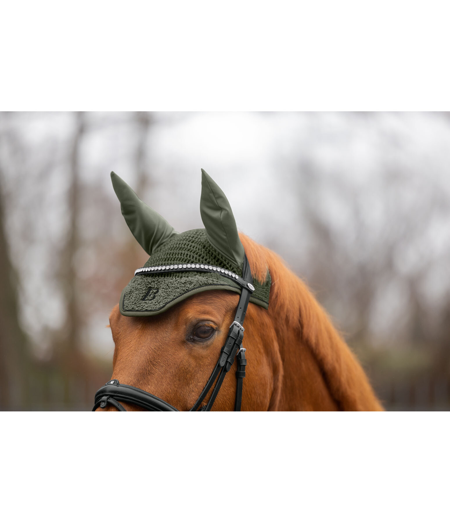 Teddy Fliegenhaube