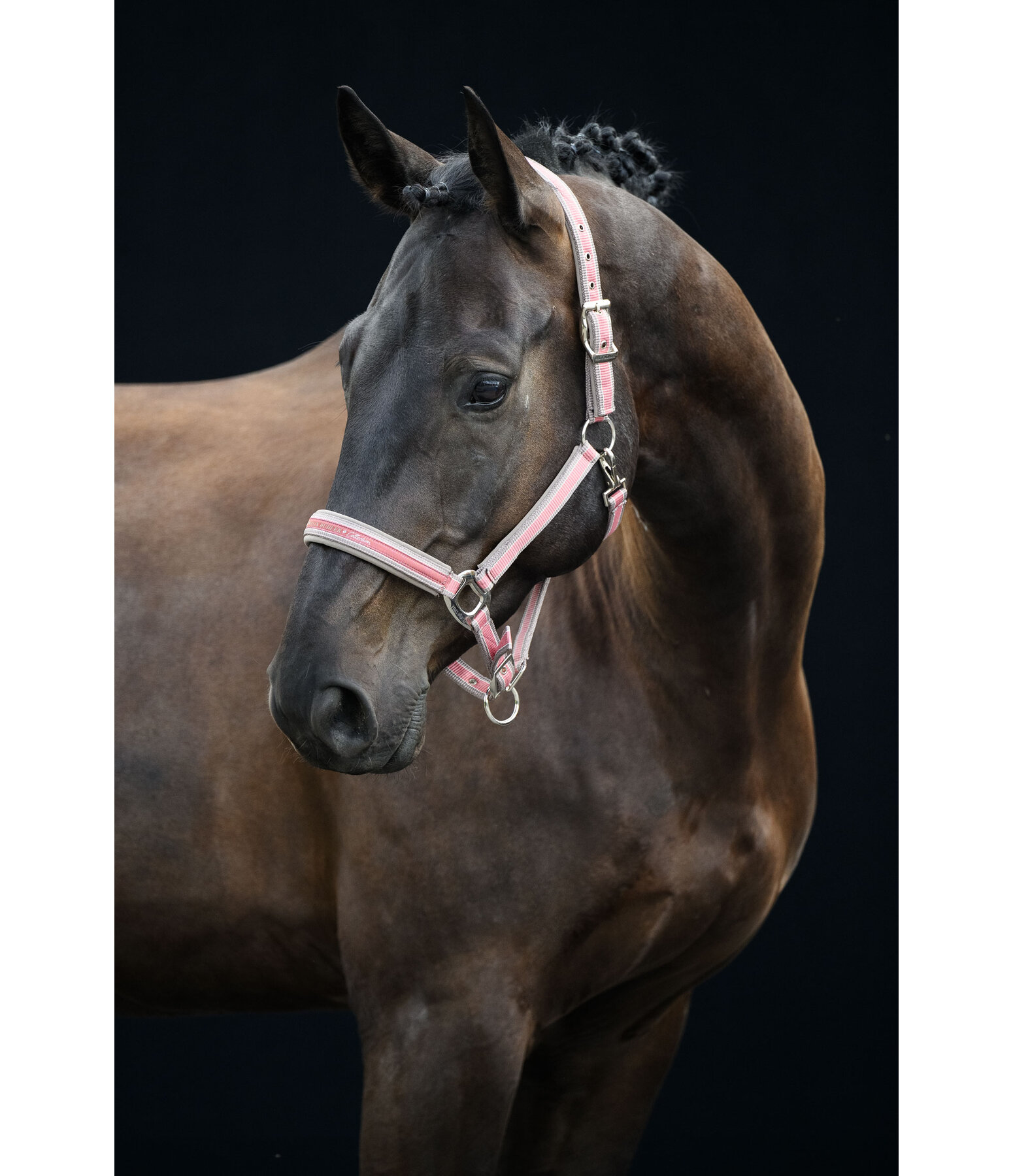 Halfter Essential II