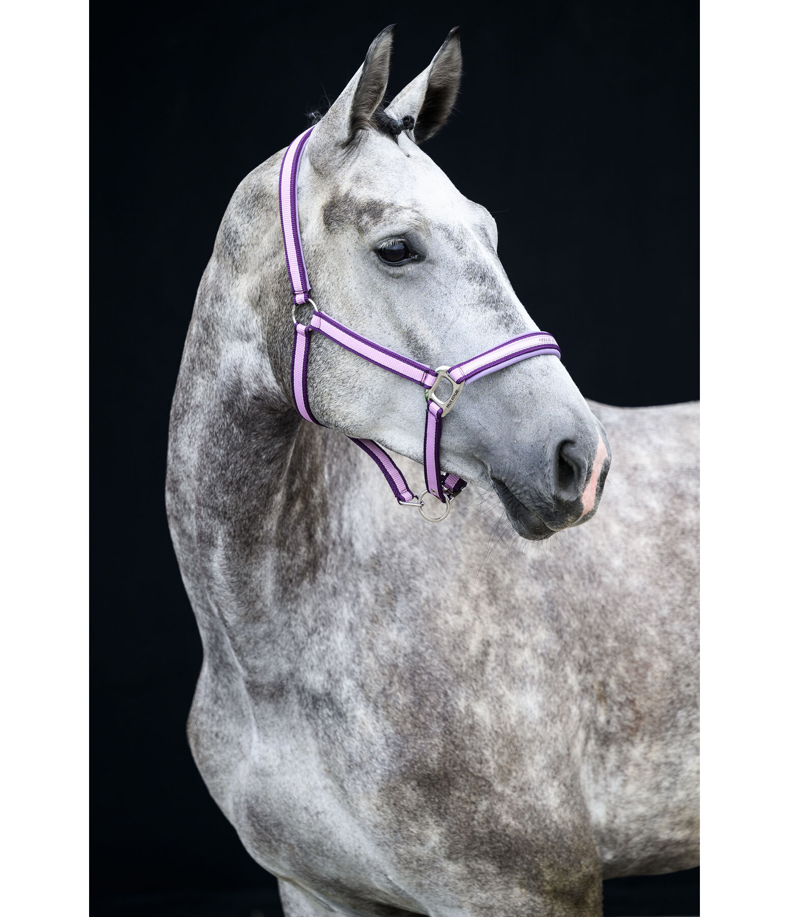 Halfter Essential II