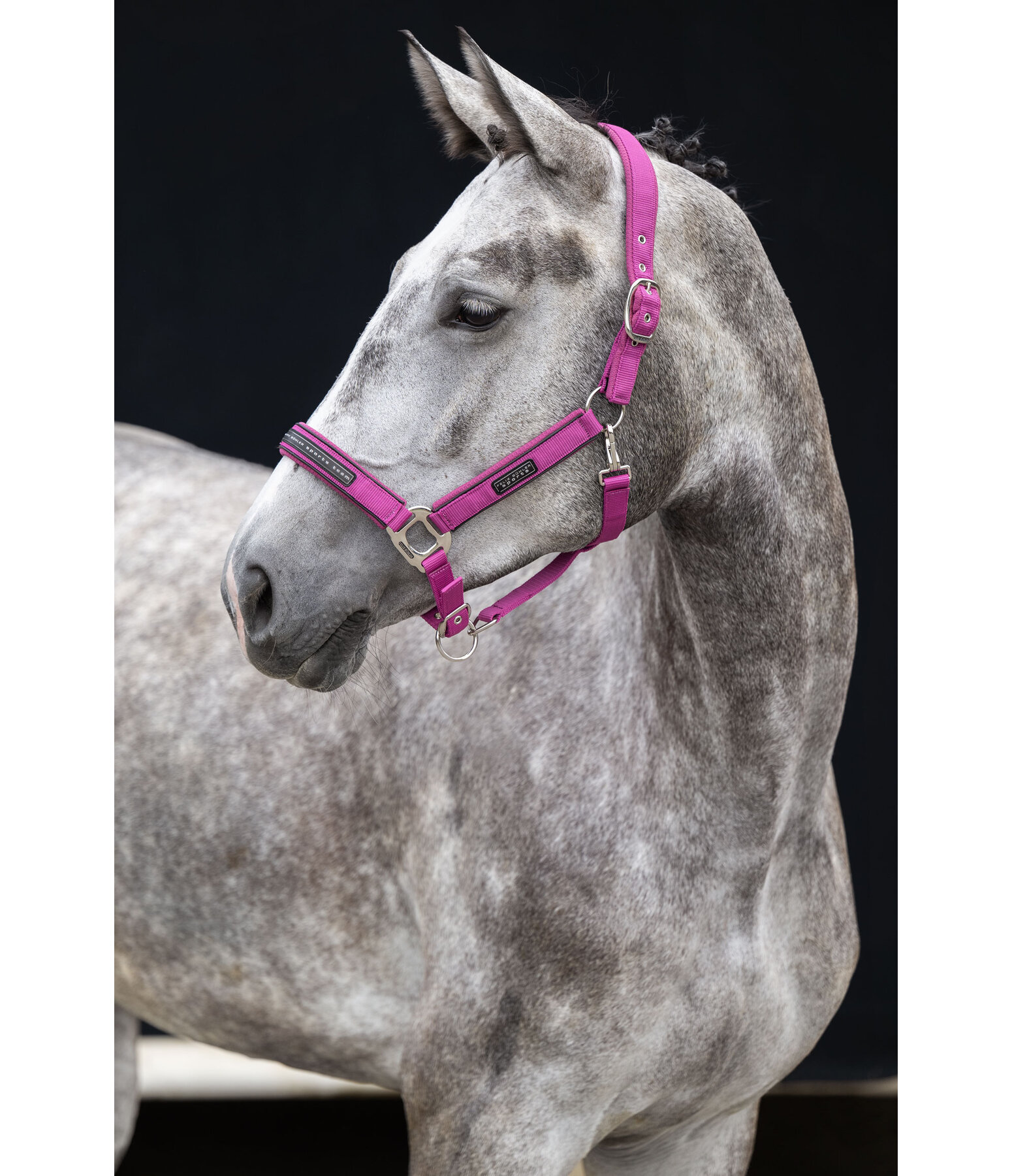 Halfter Mesh-Technology