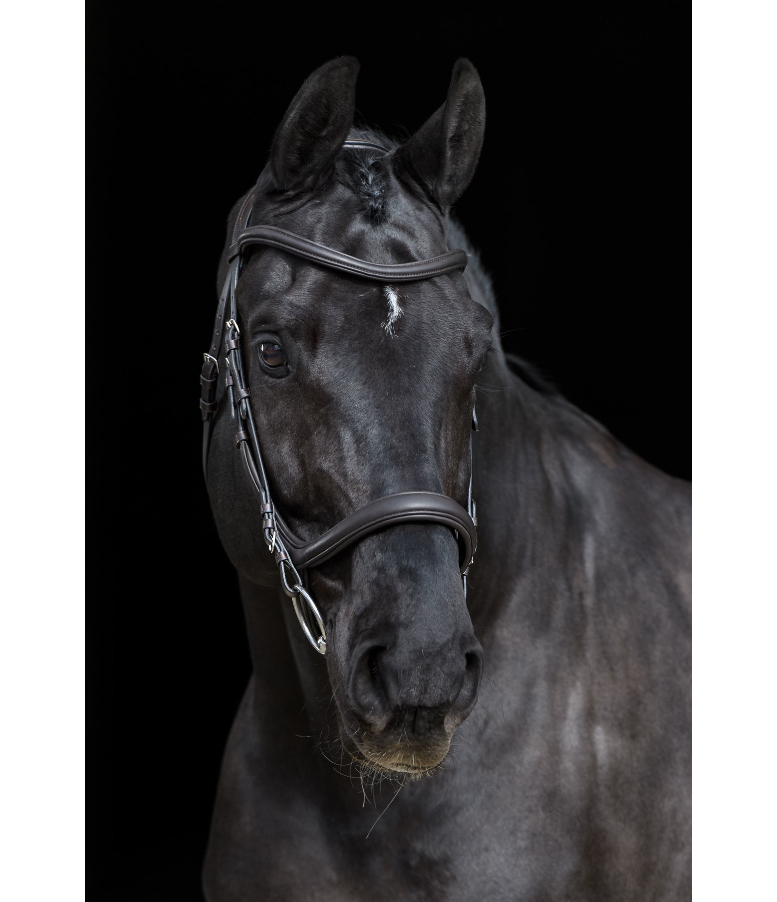 Zaum Gently Anatomical Innovation