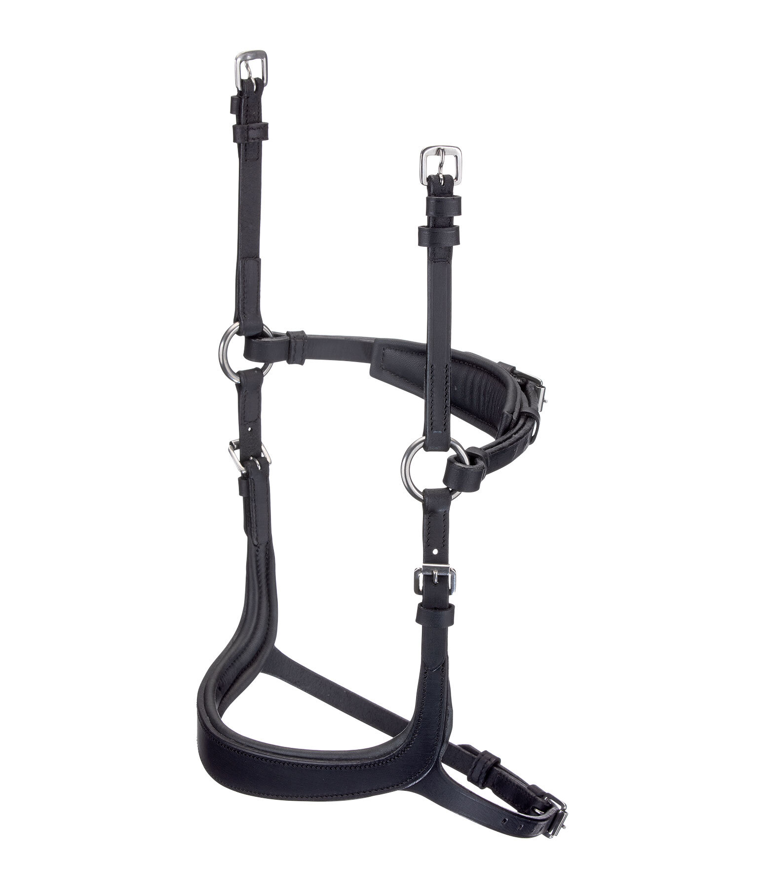 Mix & Match Ge�ltes Leder-Reithalfter Revolution