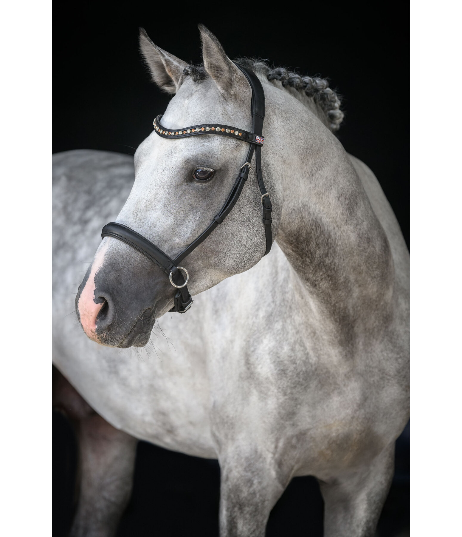 Mix & Match Geltes Leder-Reithalfter Gebisslos
