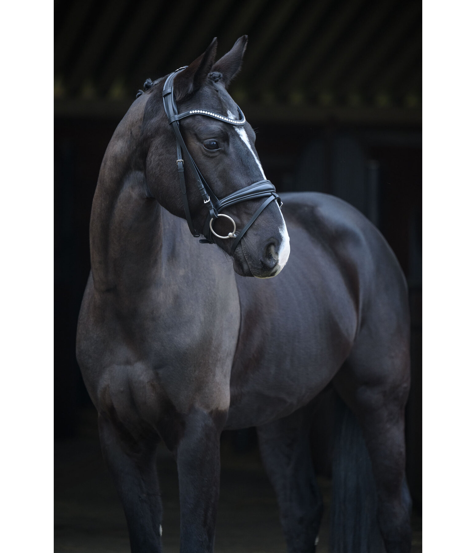 Zaum Lucie