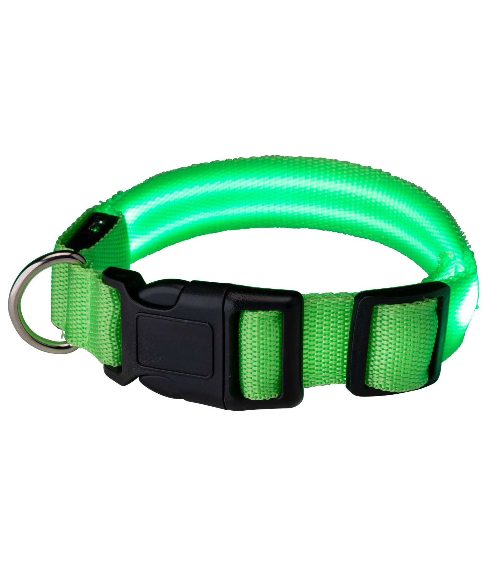 LED-Hundehalsband Loom