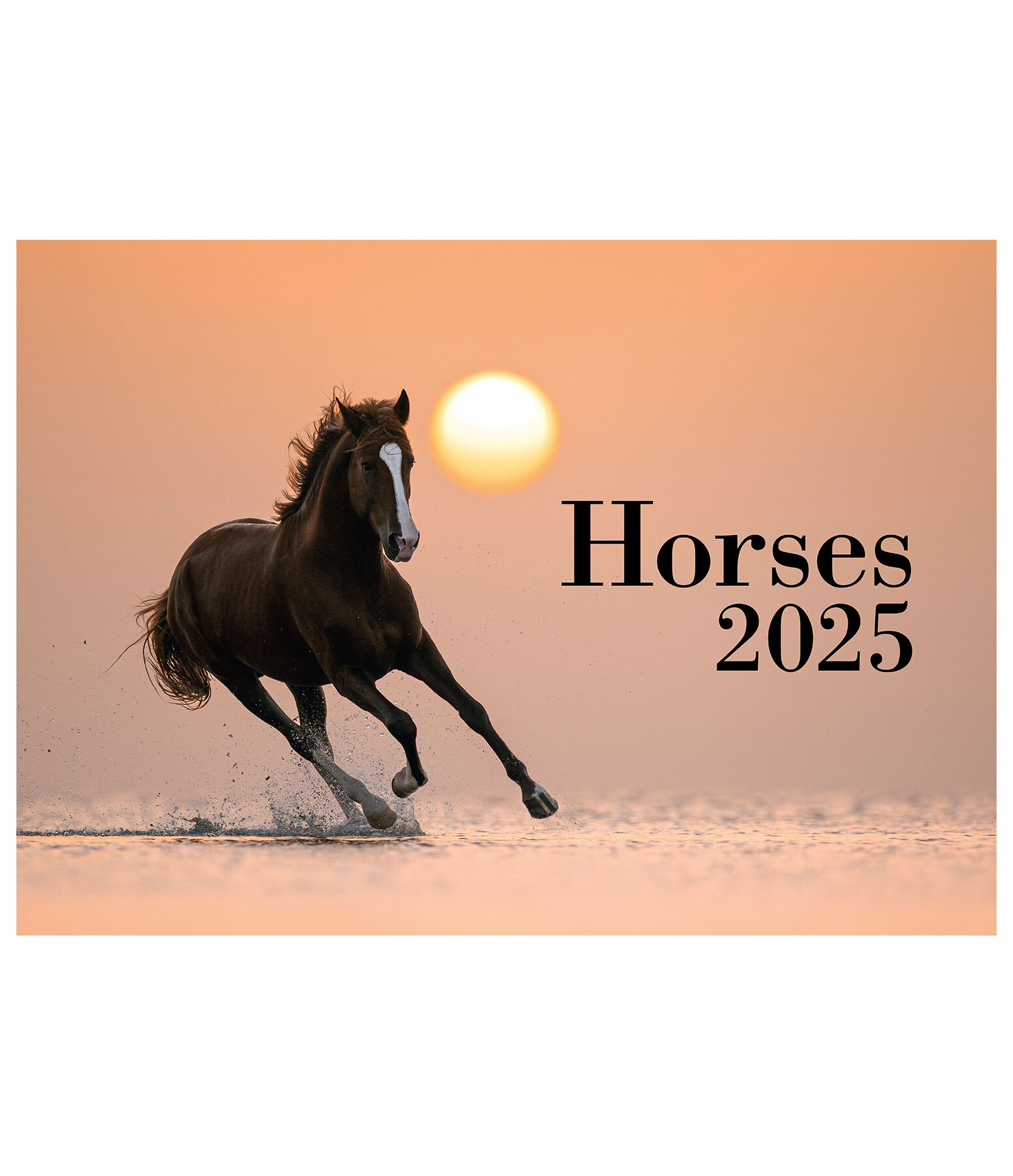 Horses Kalender 2024 Kalender Krämer Pferdesport Österreich