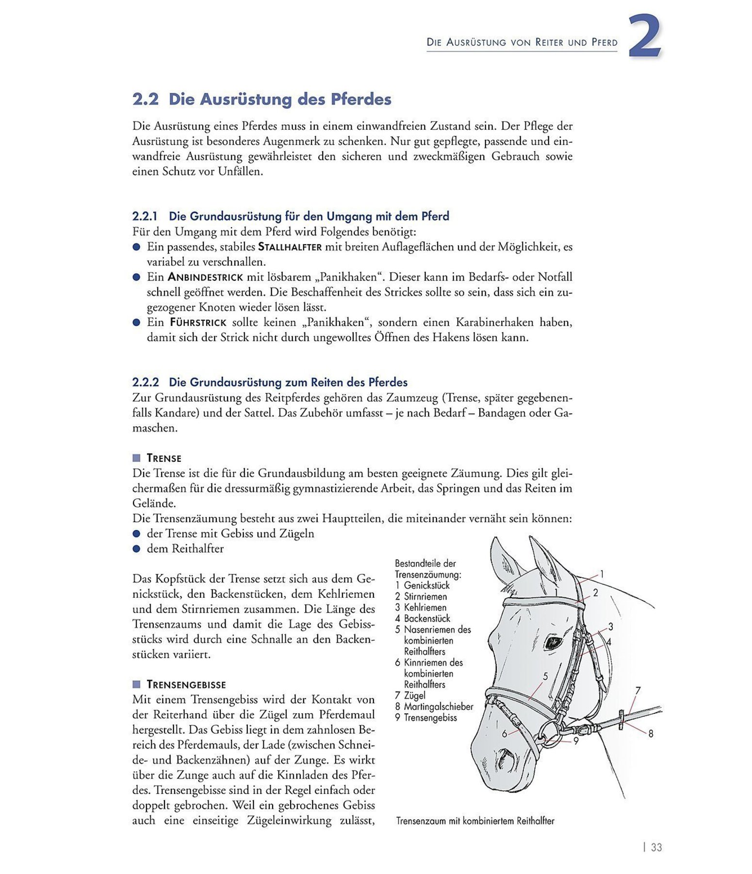 Band 1: Grundausbildung fr Reiter und Pferd