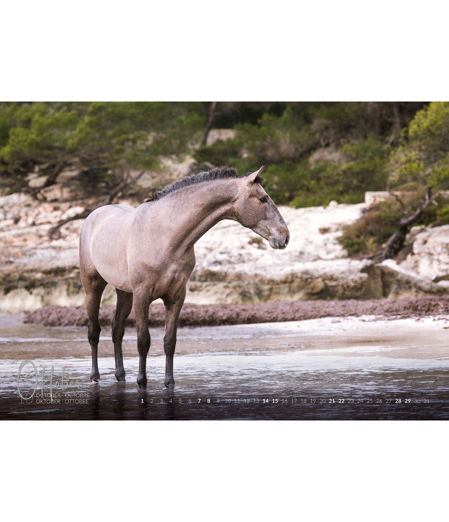 Horses & Water Kalender 2023