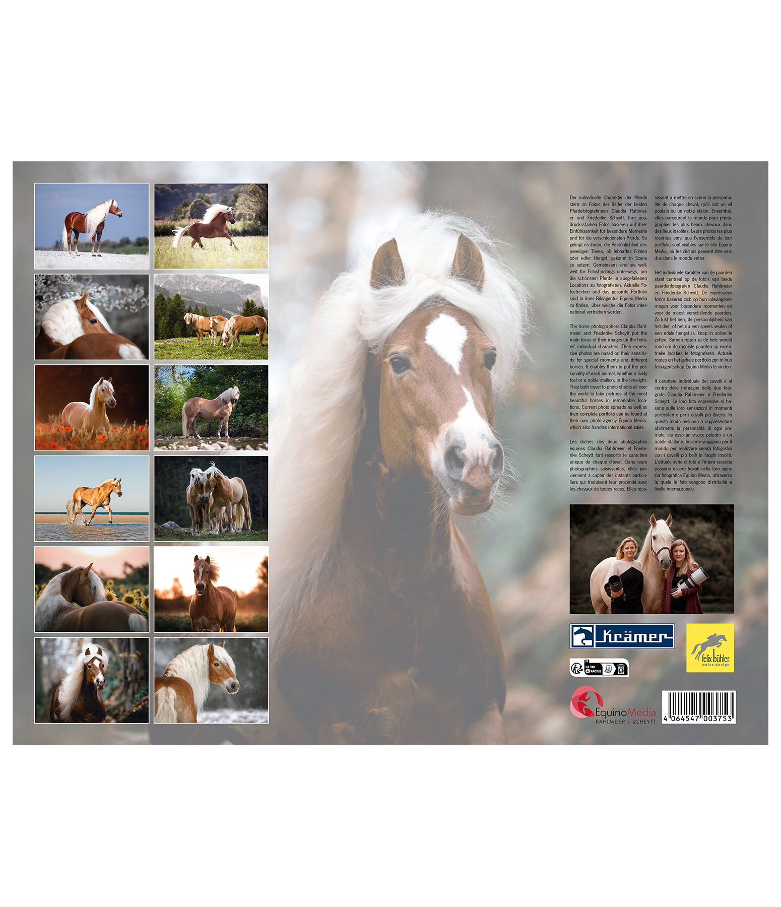 Haflinger Kalender 2024