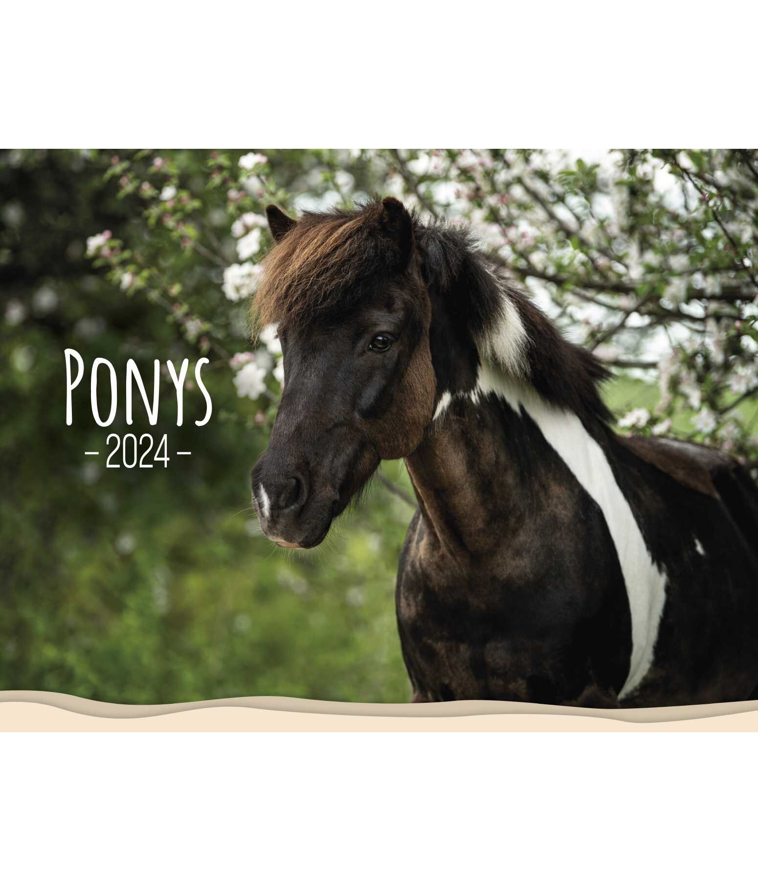 Pony Kalender 2024
