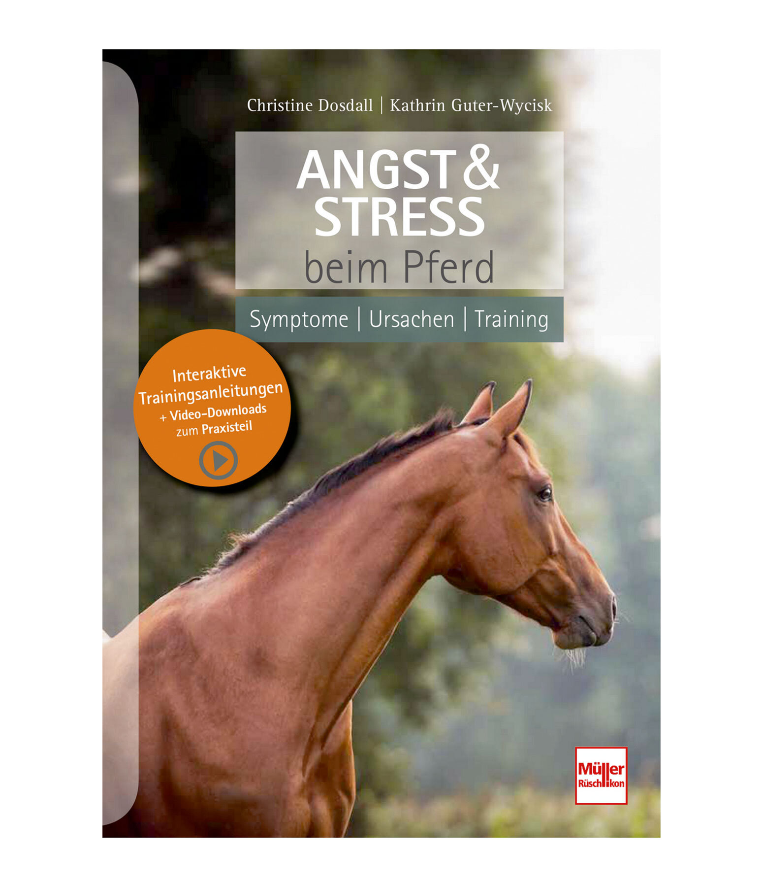 Angst & Stress beim Pferd - Symptome, Ursachen, Training