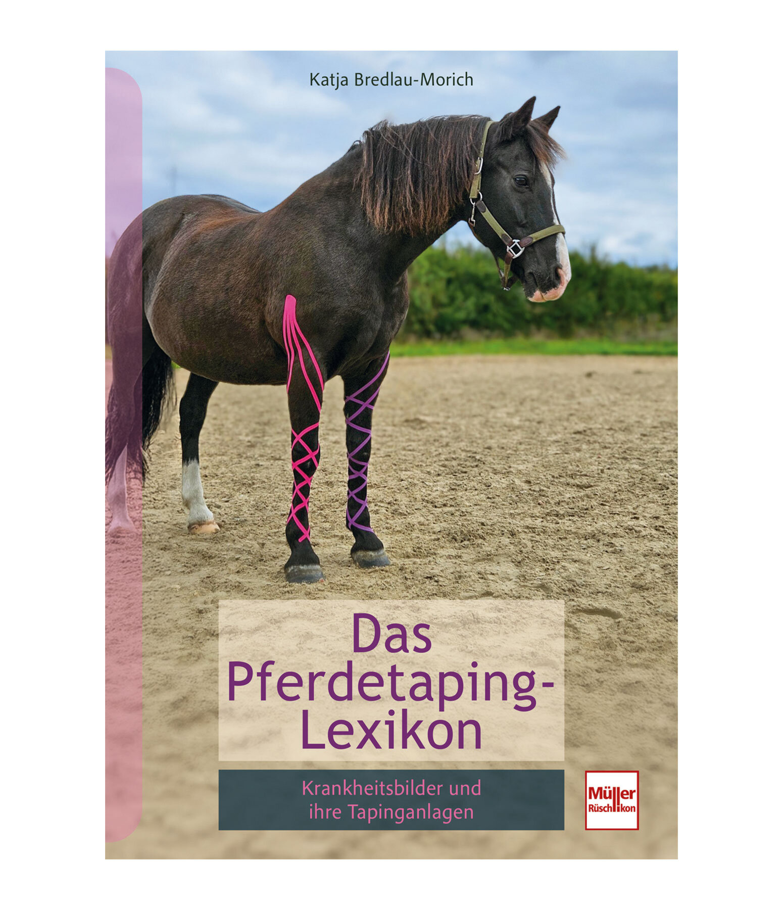 Pferdetaping Lexikon