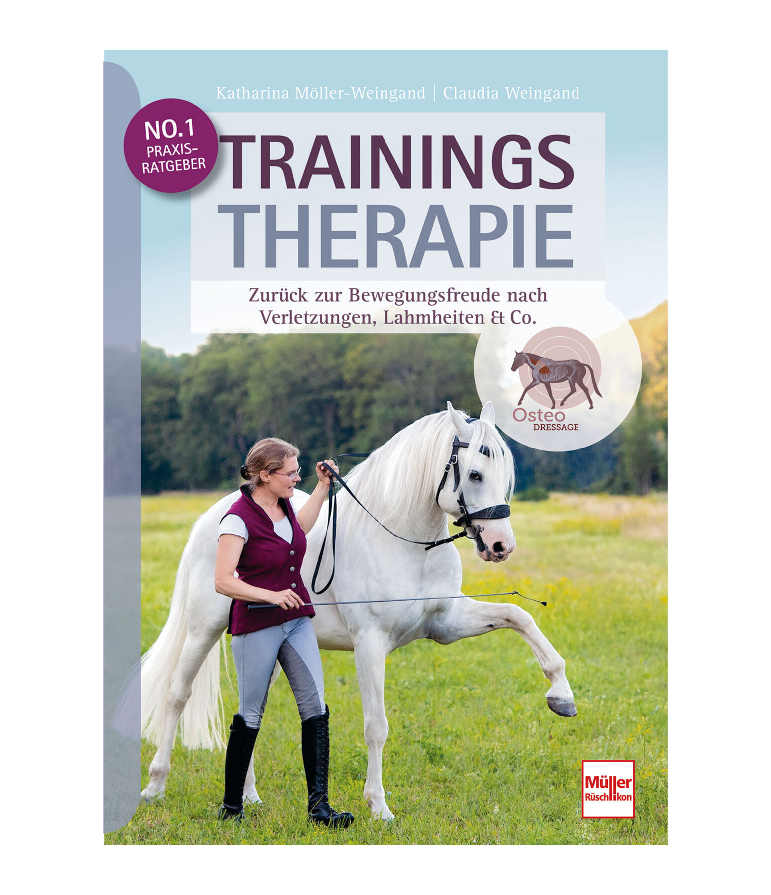 Trainingstherapie