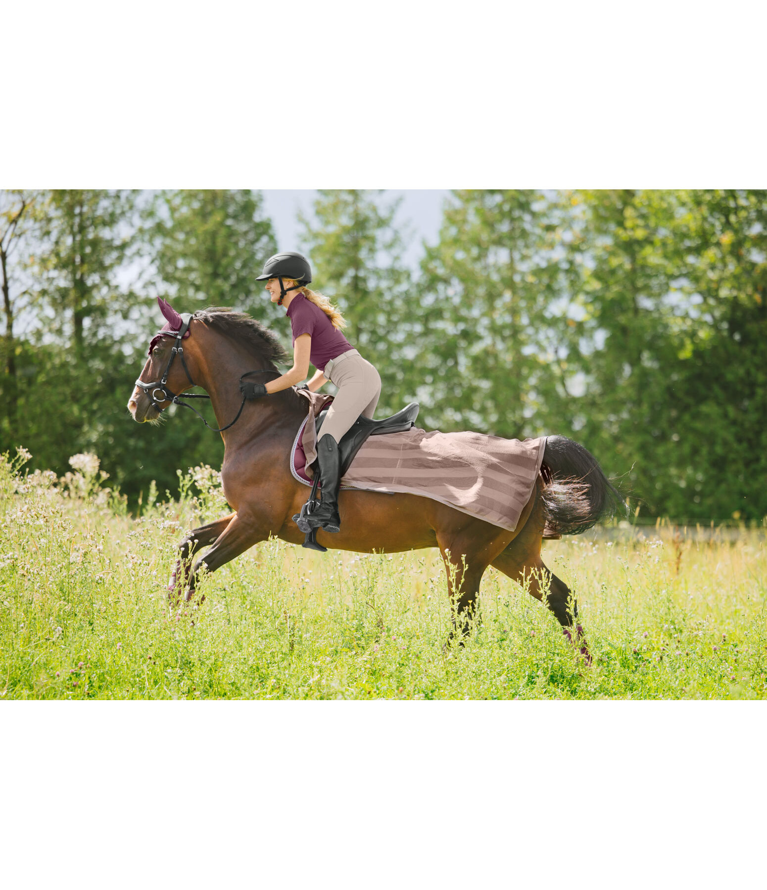 Fliegen-Ausreitdecke Economy Light