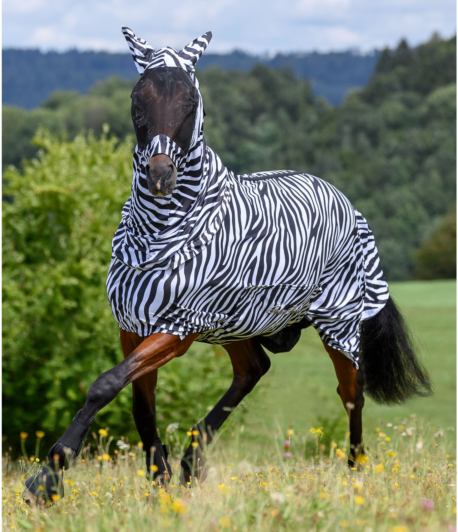 Zebra-Ekzemermaske Gibson