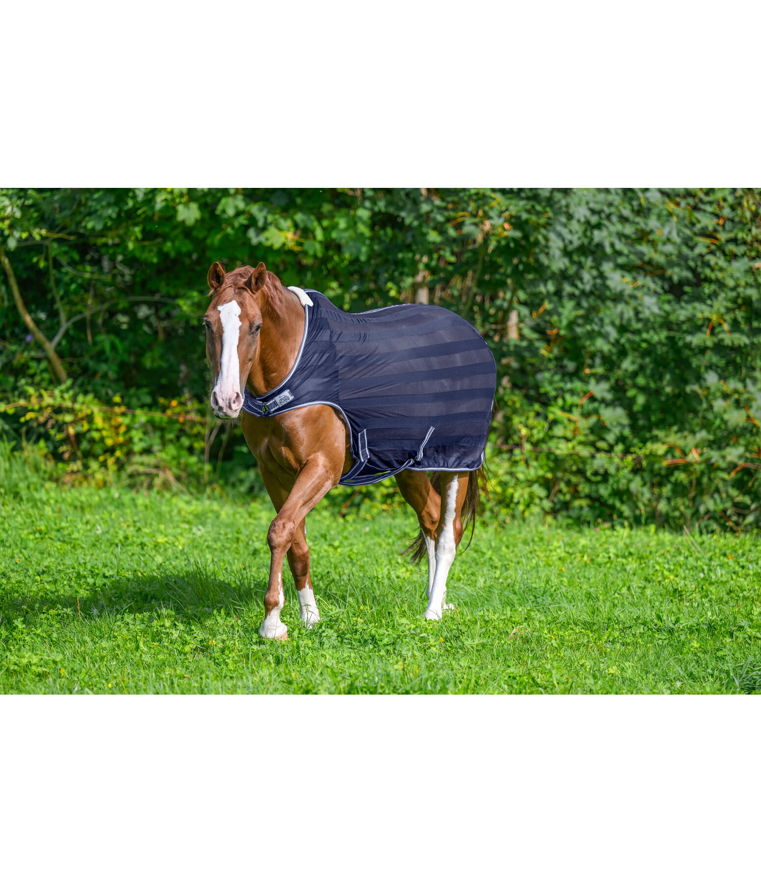 Fliegenschutz-Walker Economy Light