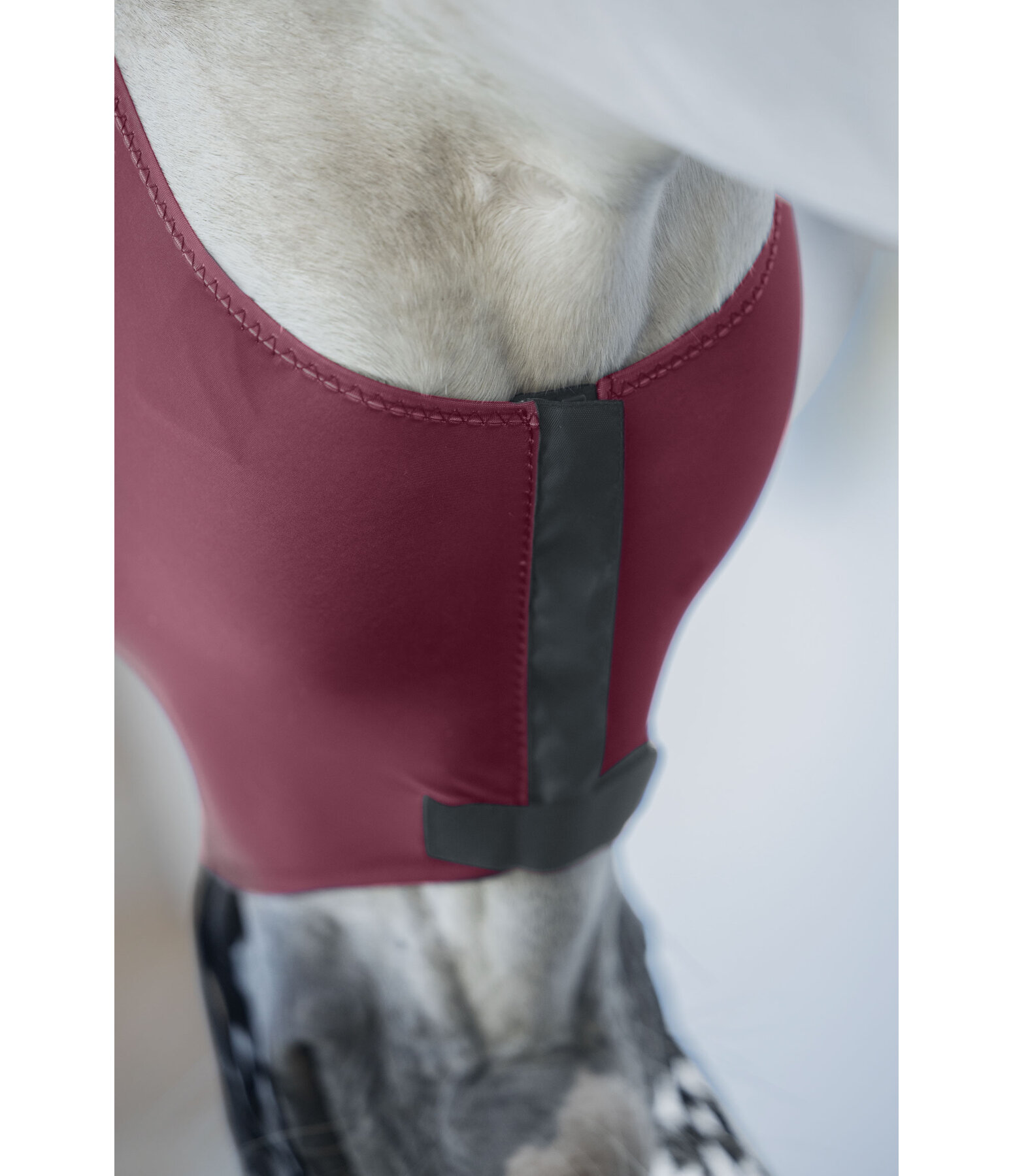 Fliegenmaske Stretch Comfort mit Nsternschutz und RV