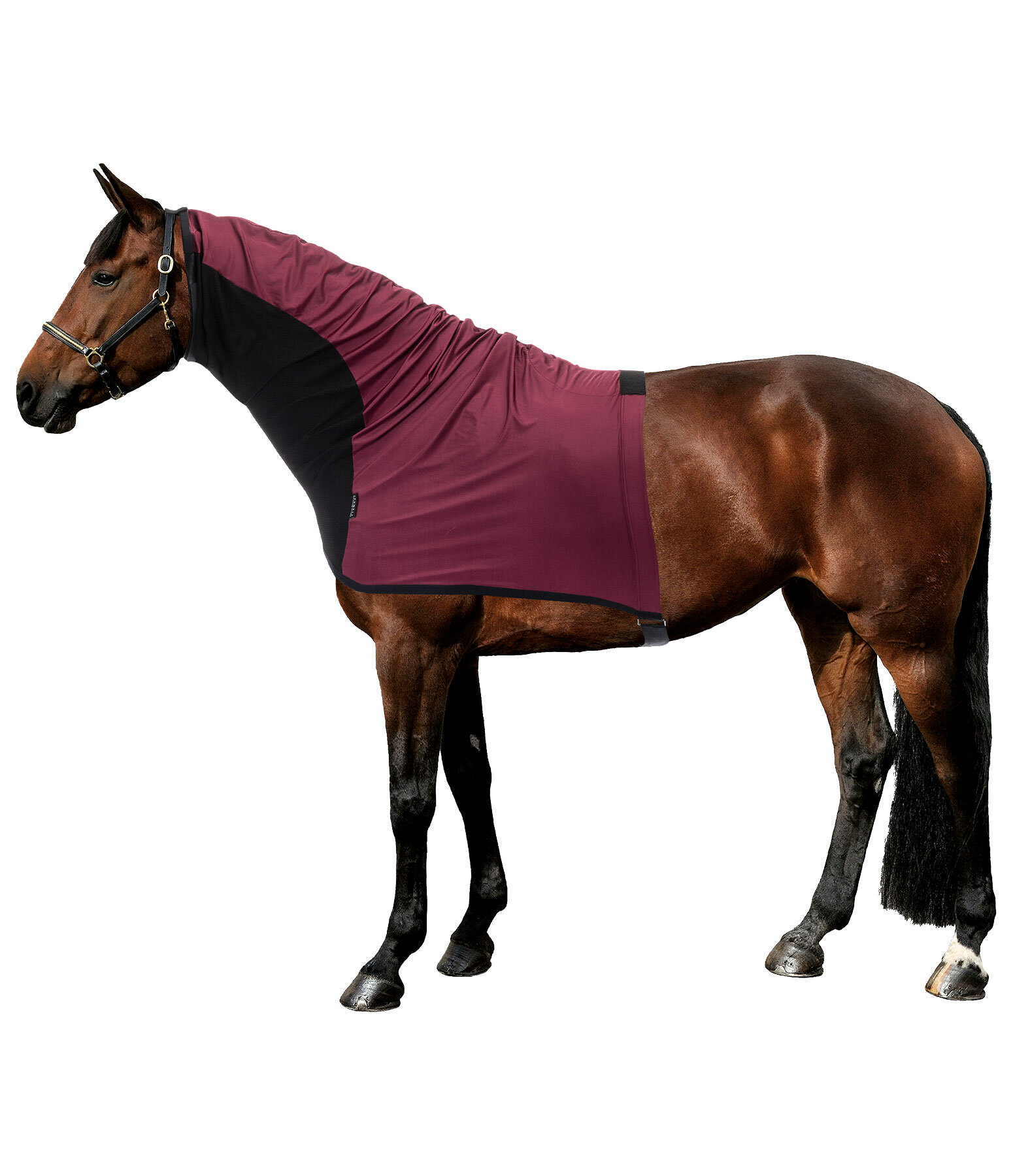 Fliegen- und Ekzemerschutz-Halsteil Stretch Comfort