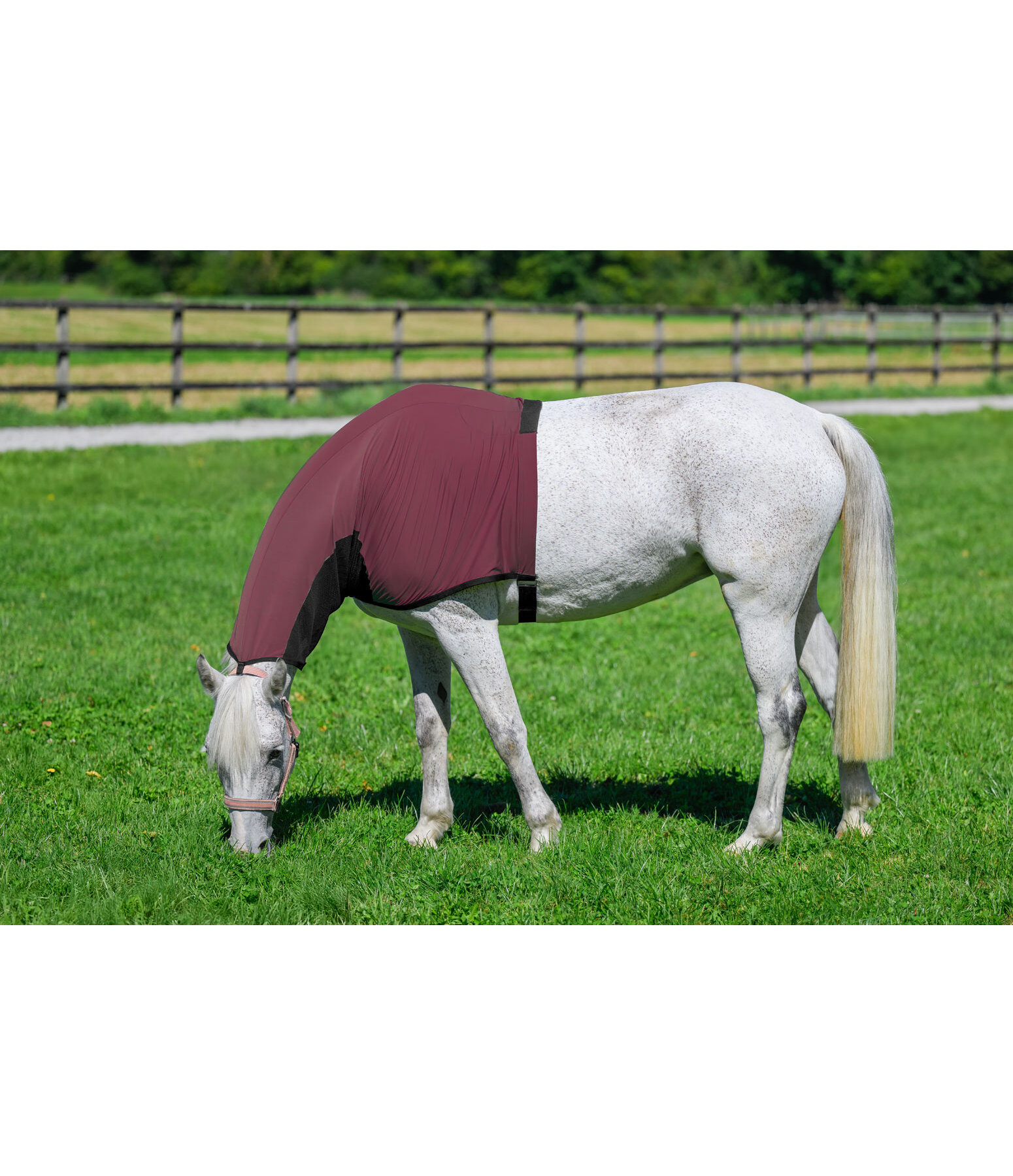 Fliegen- und Ekzemerschutz-Halsteil Stretch Comfort