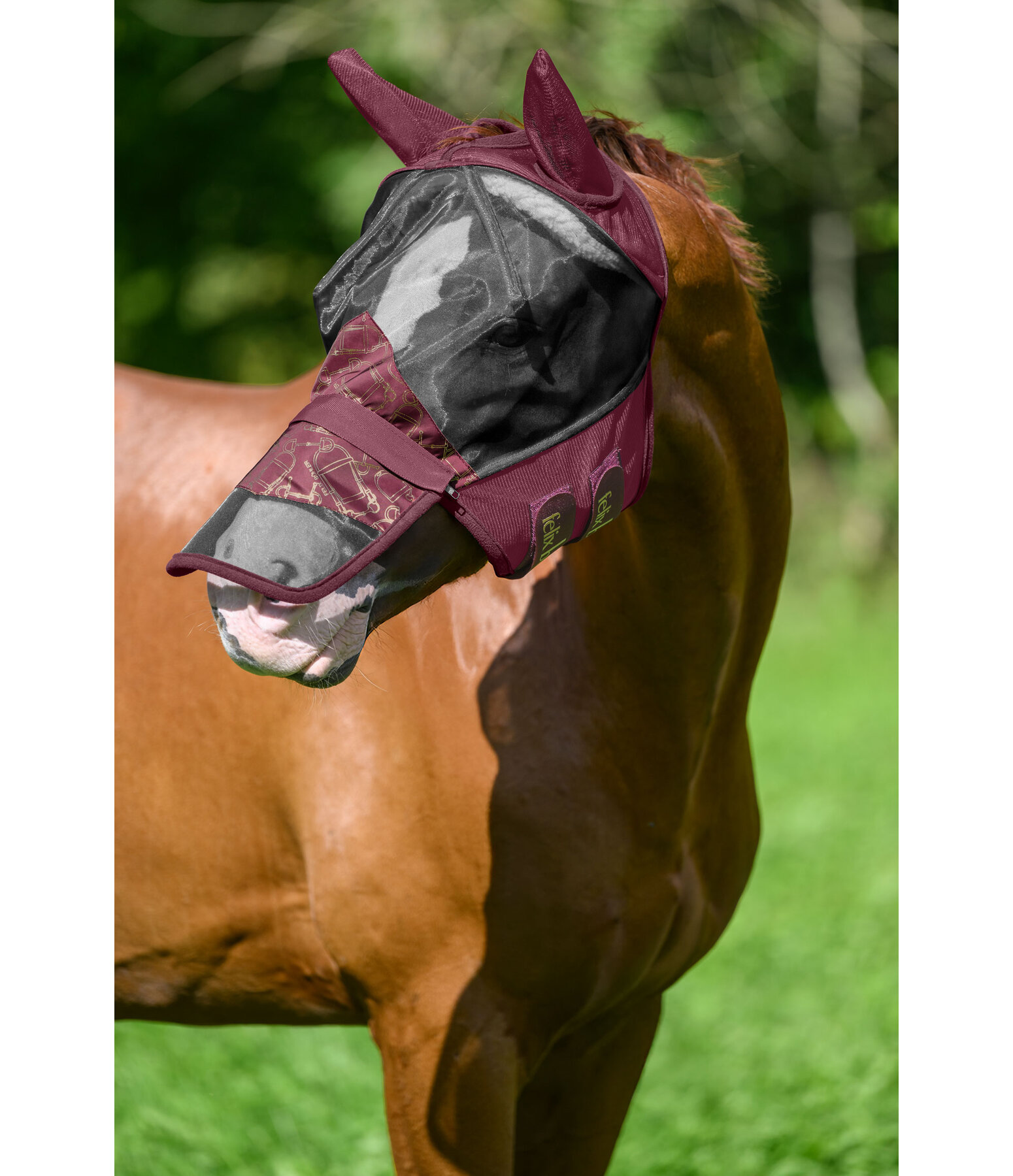 Kollektions-Fliegenmaske Signature III mit abnehmbarem N�sternschutz