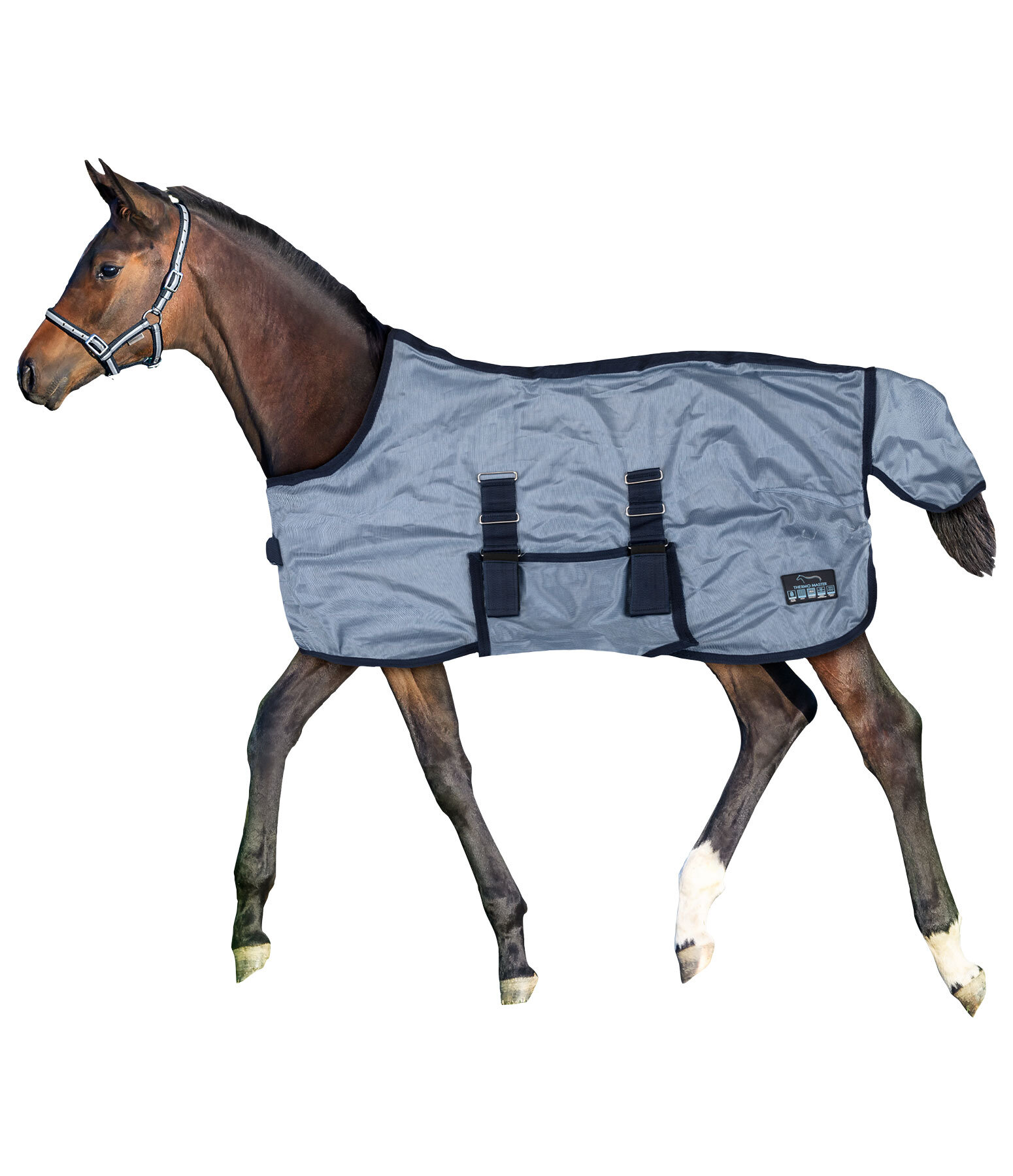 Fohlen und Minishetty Fliegendecke Kubi Fly