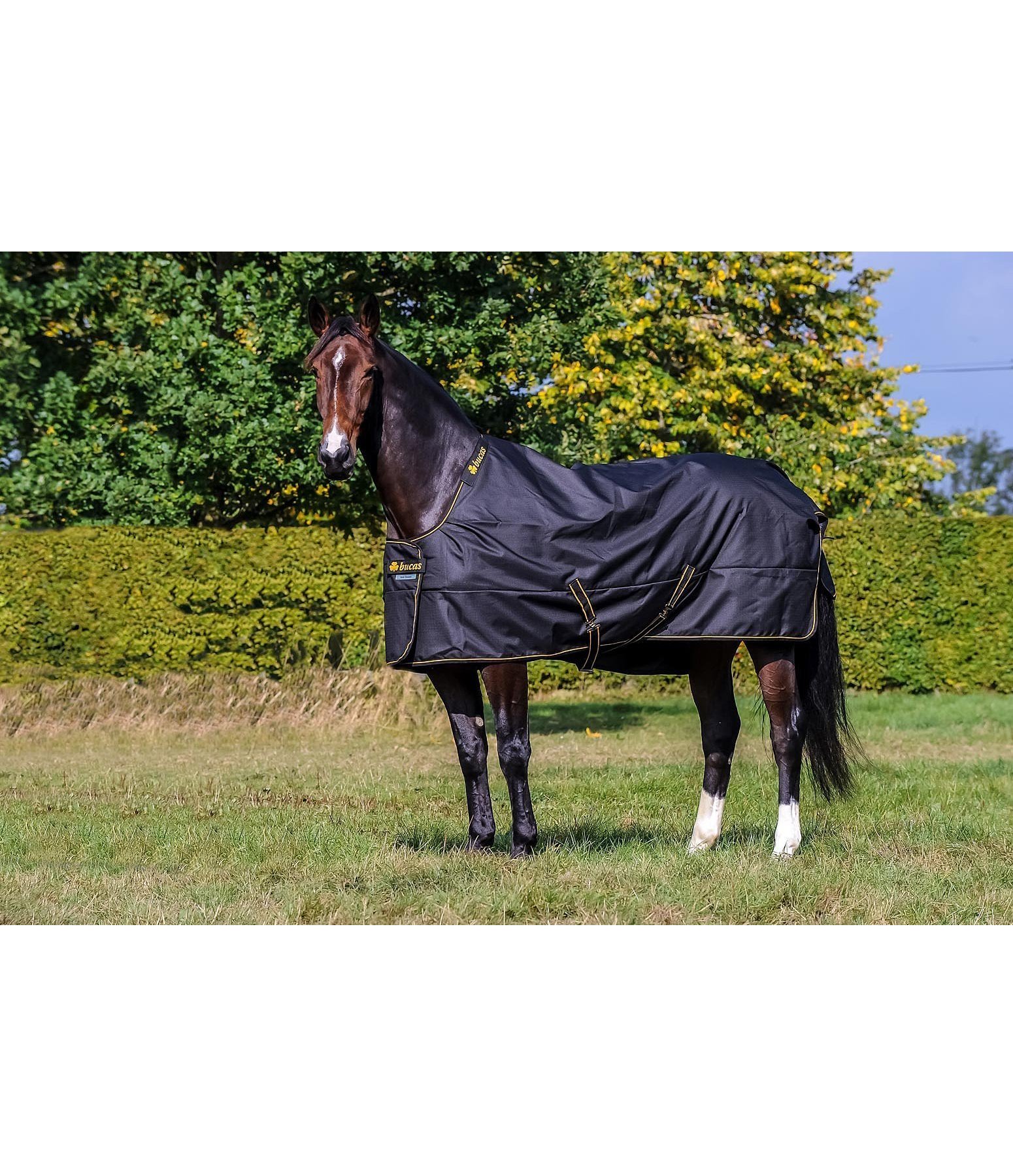 Outdoordecke Irish Turnout 50 Regularneck, 50 g