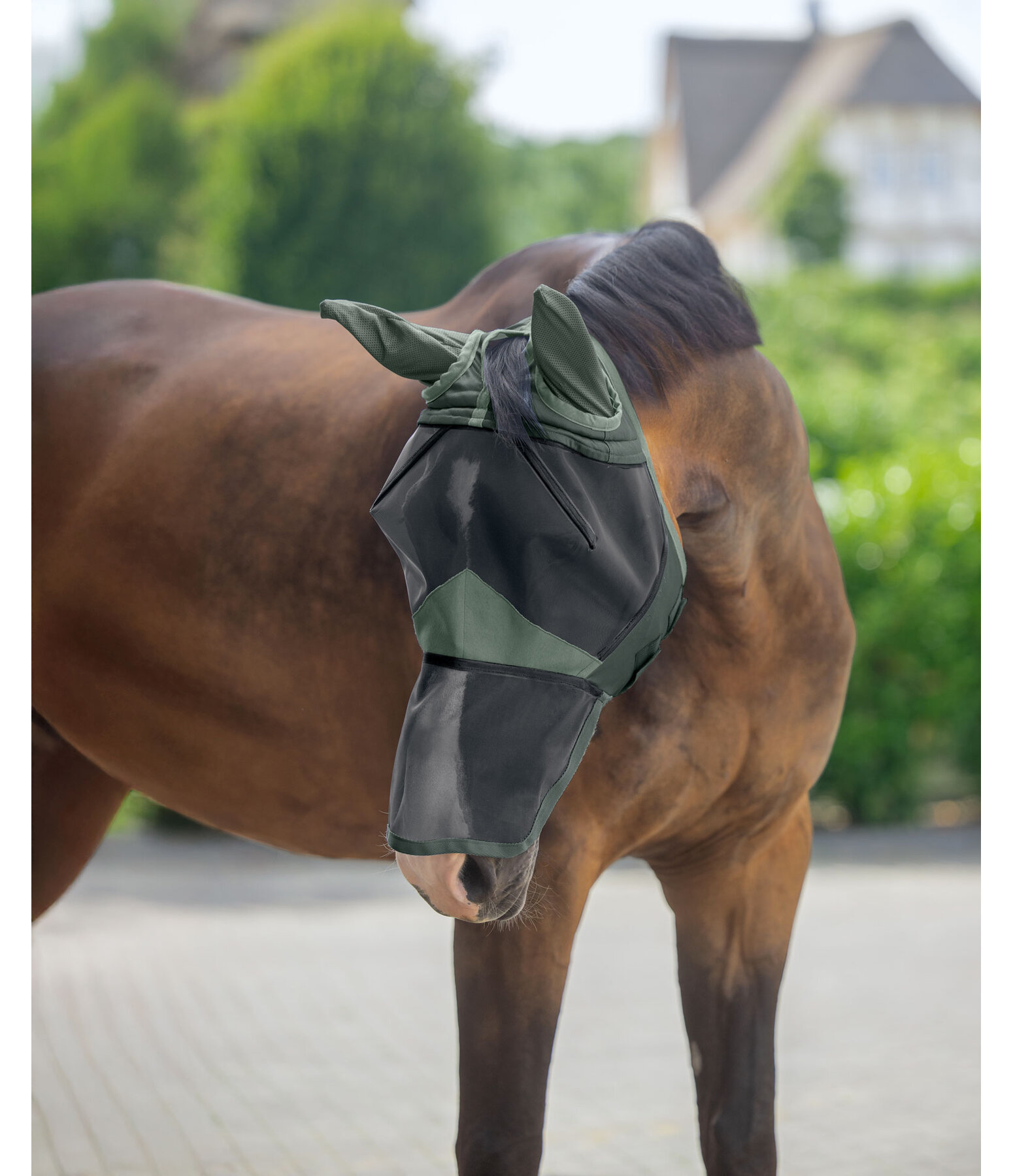Fliegenmaske Basic mit Nsternschutz