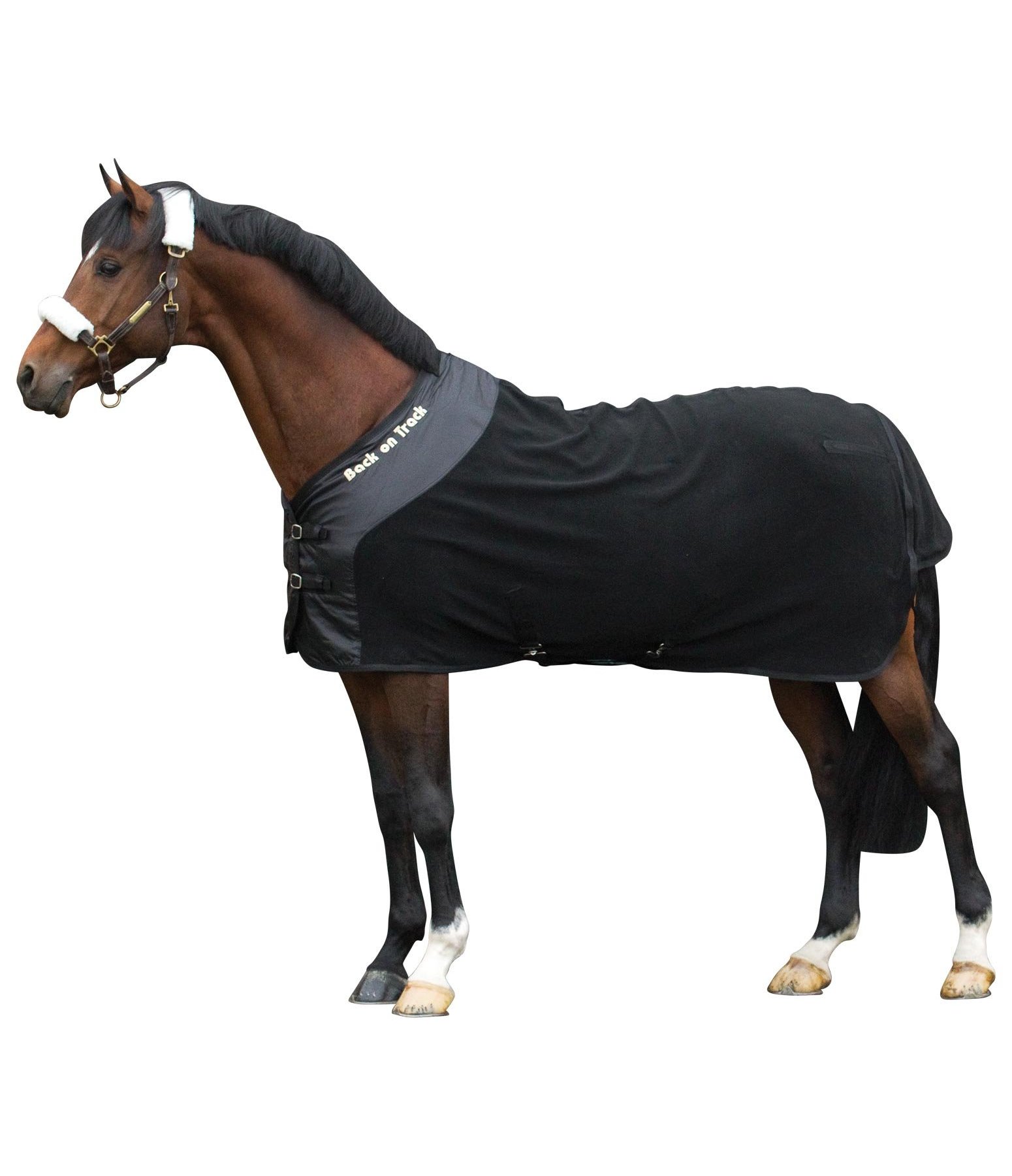 Fleecedecke Supreme Back On Track Fur Das Pferd Kramer Pferdesport Osterreich