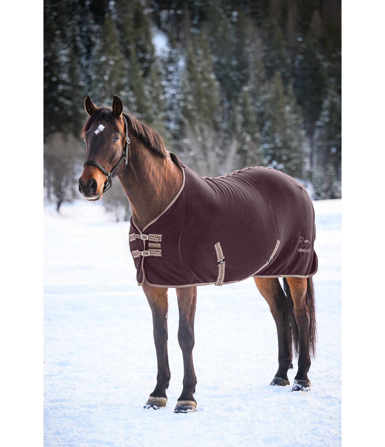 Fleece-Abschwitzdecke Activity