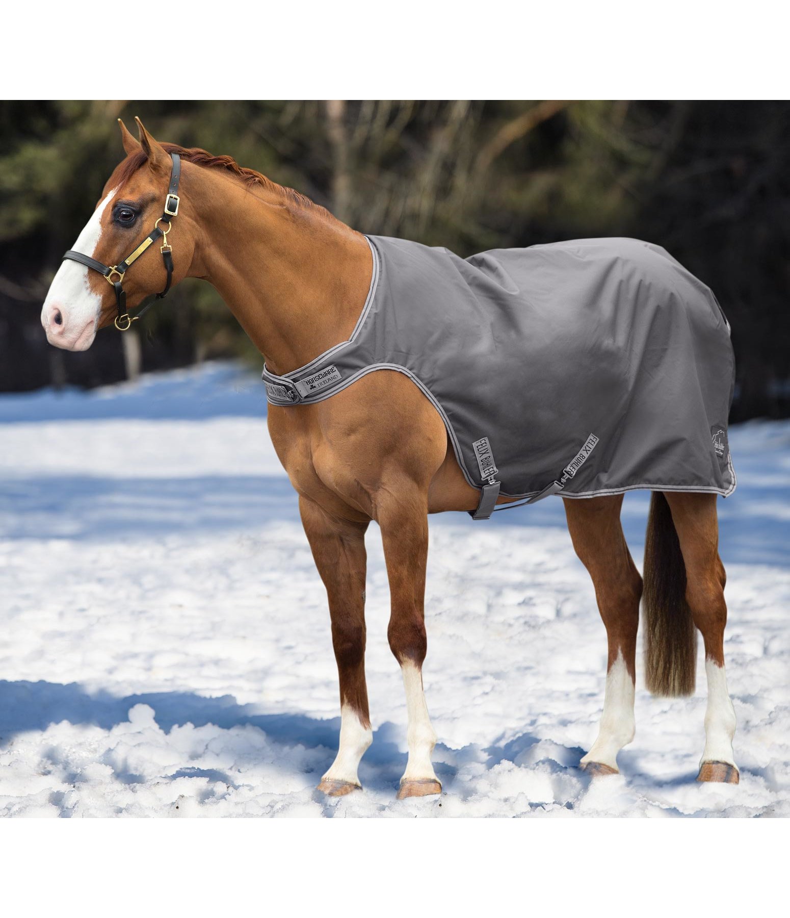 Walker, 50 g Führanlagen & Walkerdecken Krämer Pferdesport Österreich