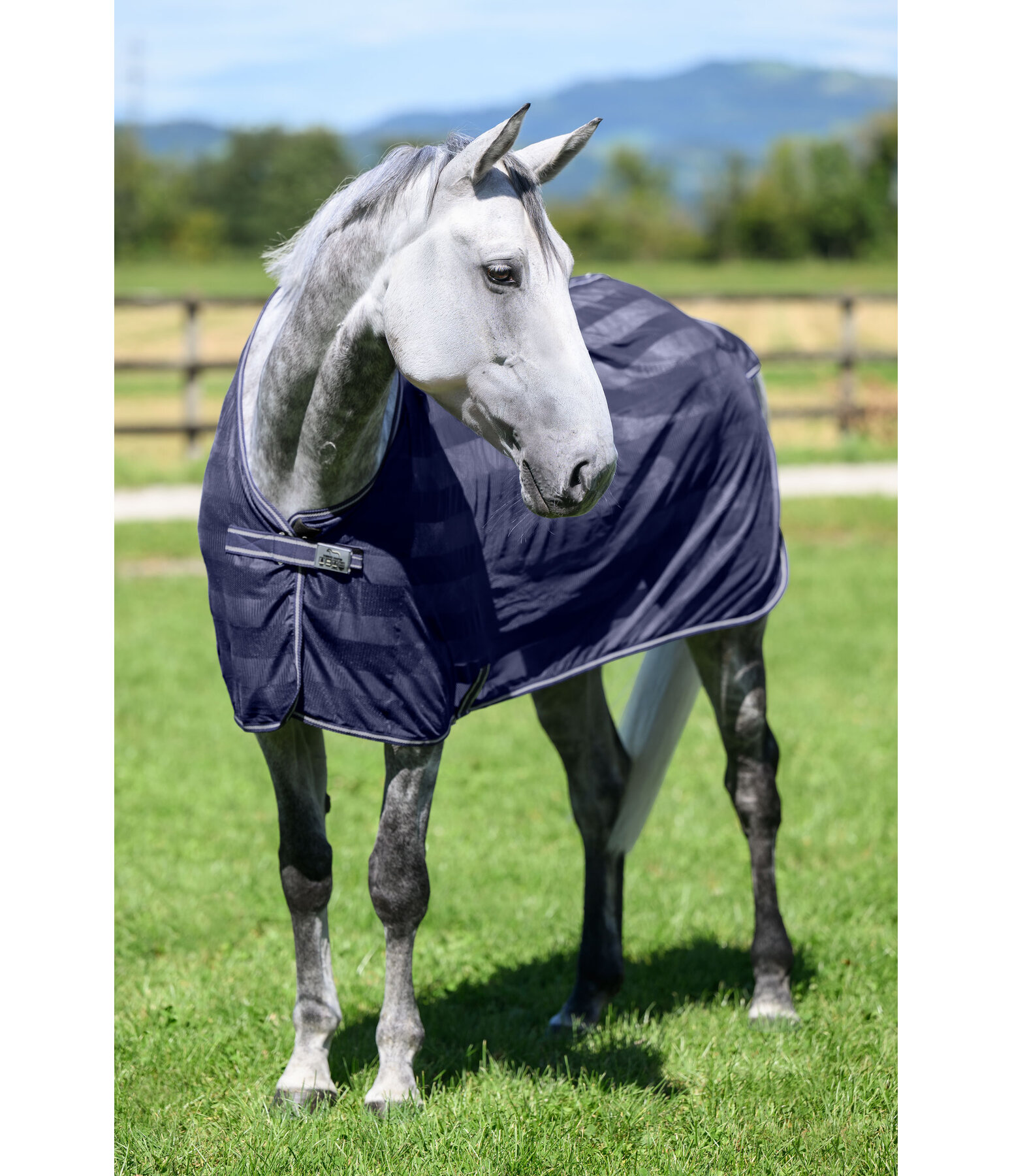 Fliegendecke Economy Light