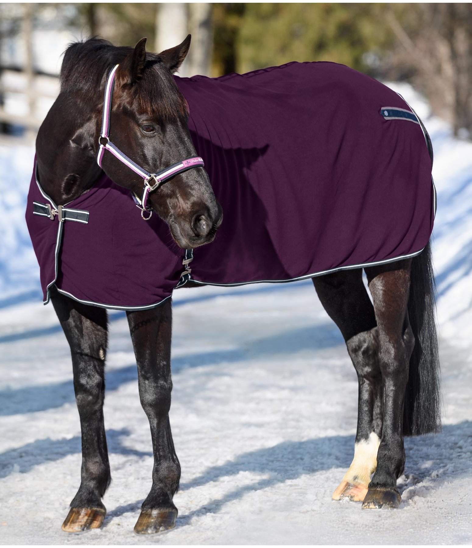 Fleece-Abschwitzdecke Basic Sports