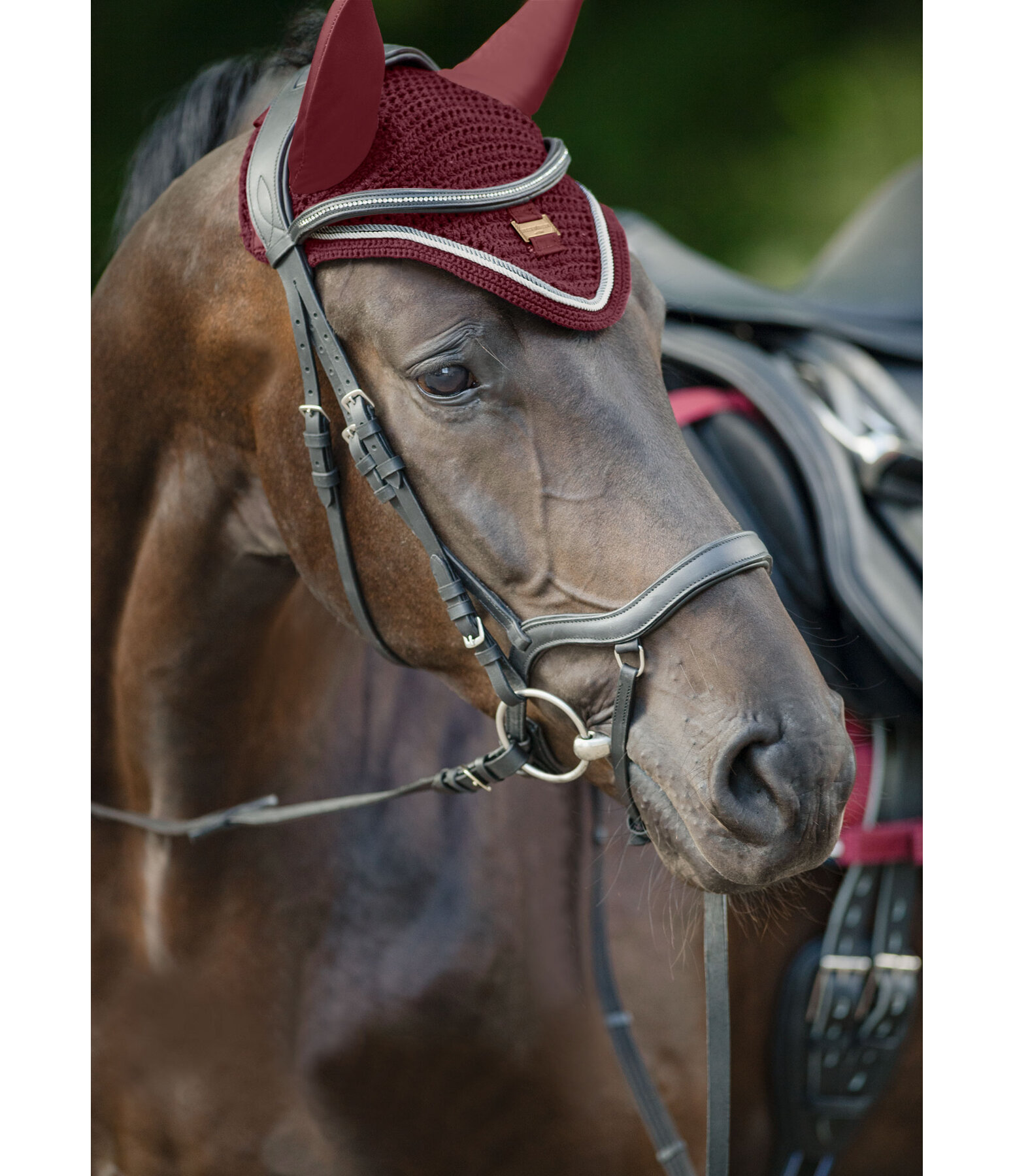 Fliegenhaube Essential