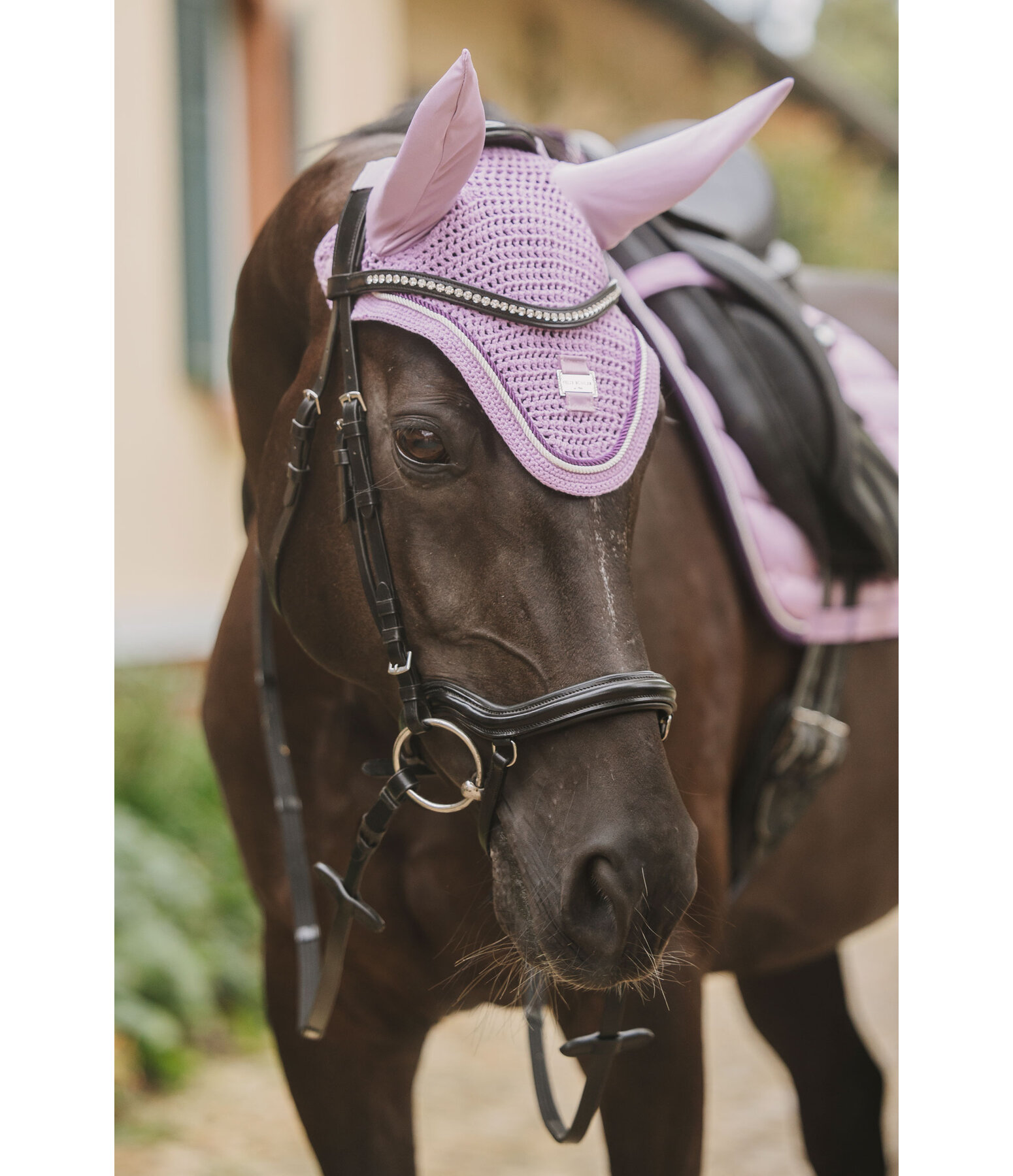 Fliegenhaube Essential