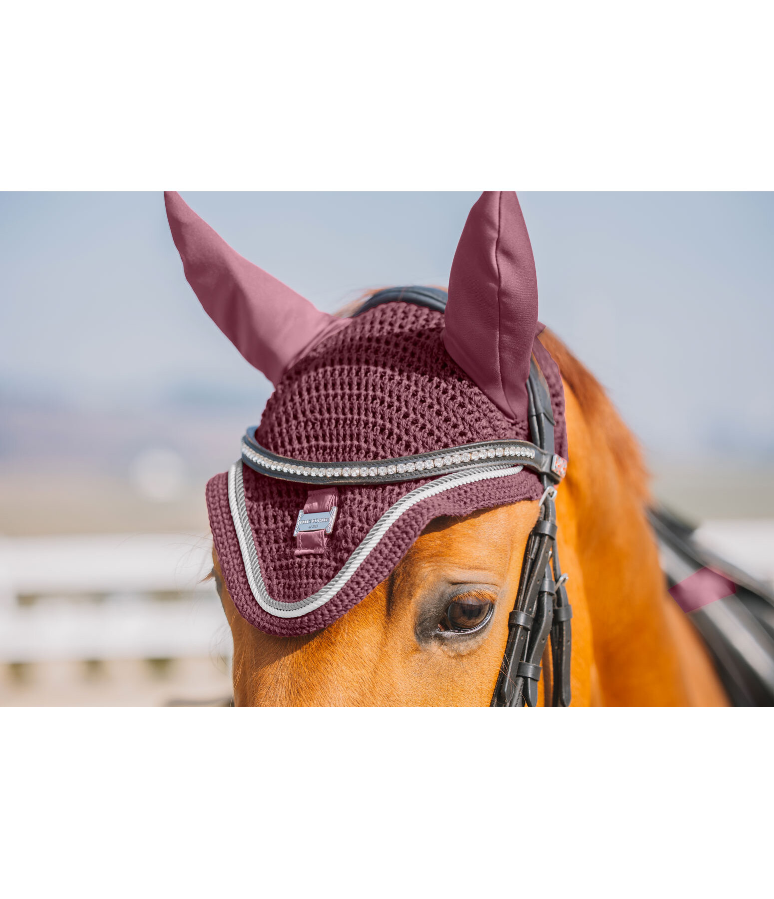 Fliegenhaube Essential
