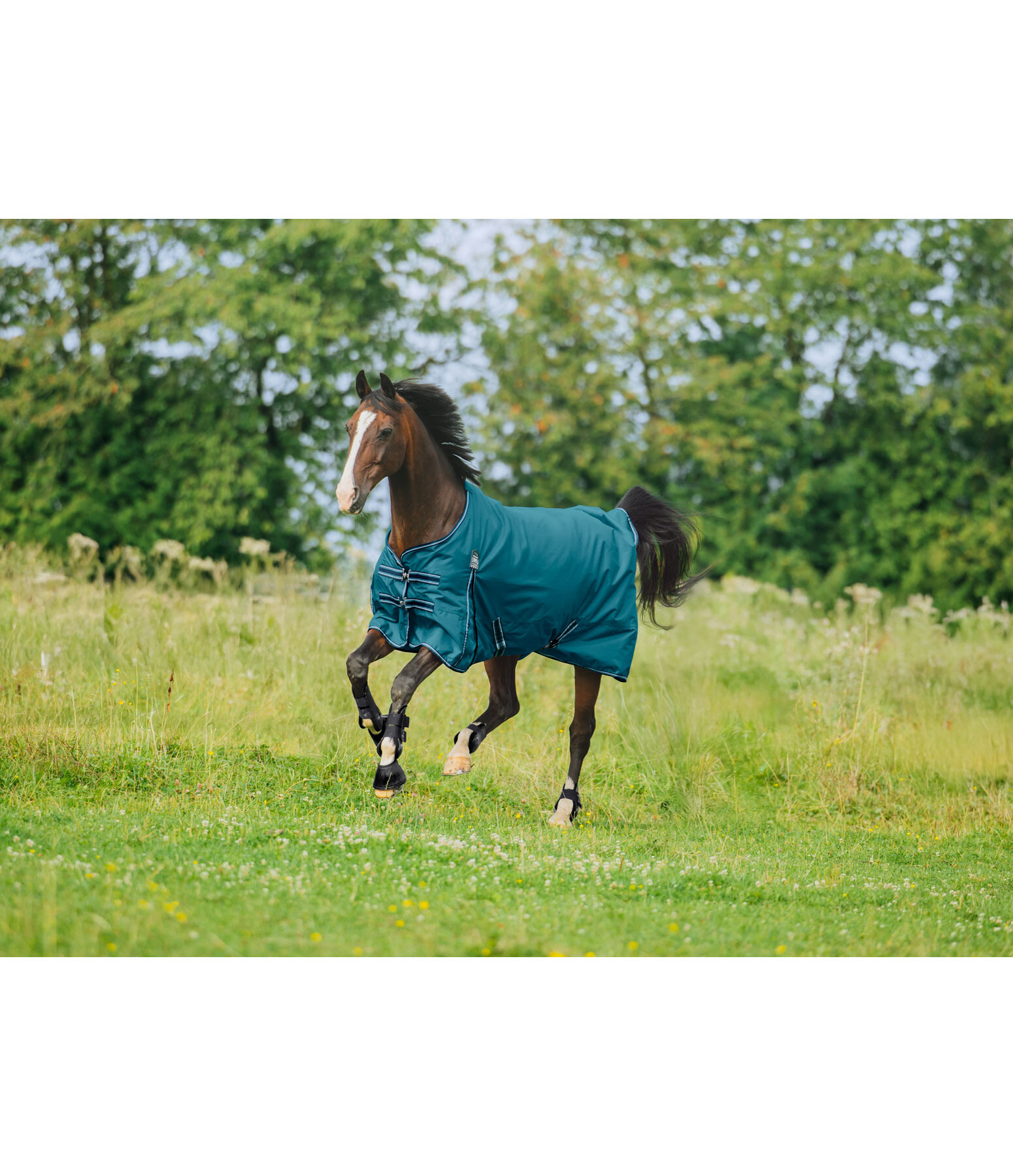 Outdoordecke Kadir IV, 0 g