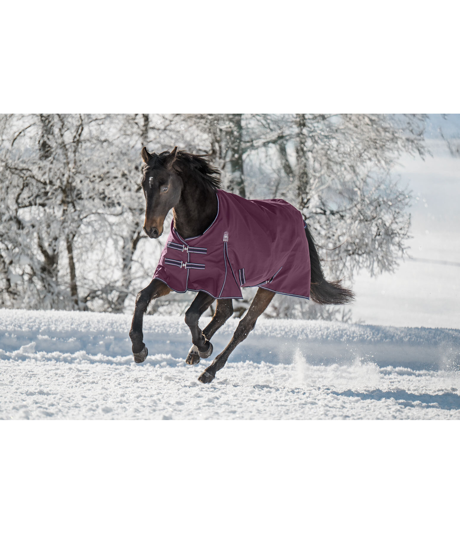 Outdoordecke Kadir IV, 100 g