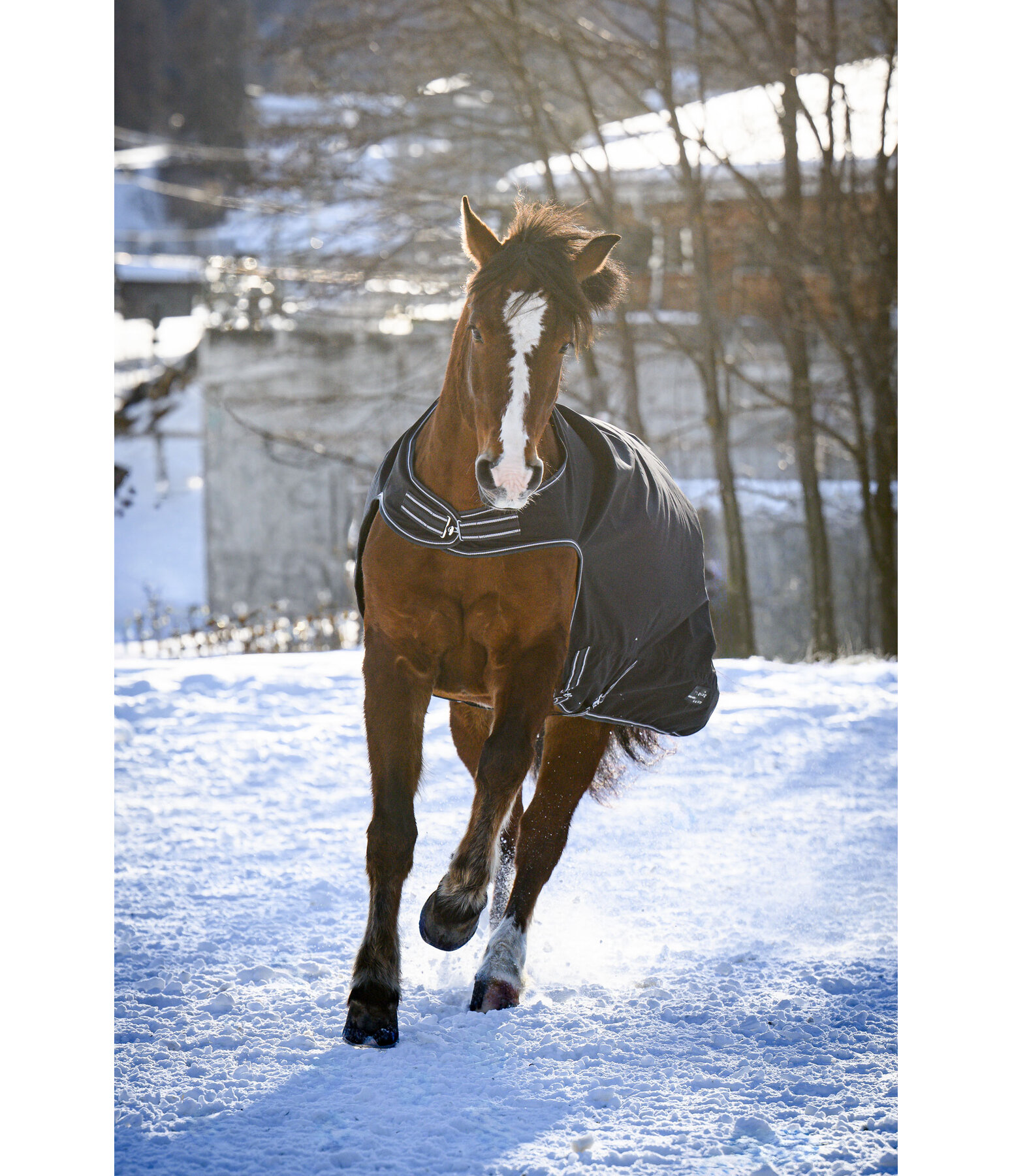 Outdoor-Walker Kasimo II, 0 g