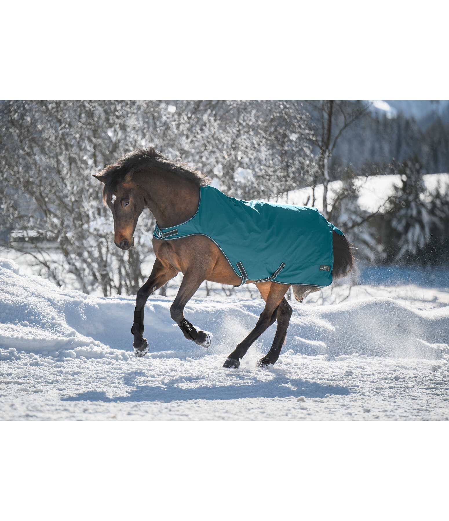 Outdoor-Walker Kasimo II, 0 g