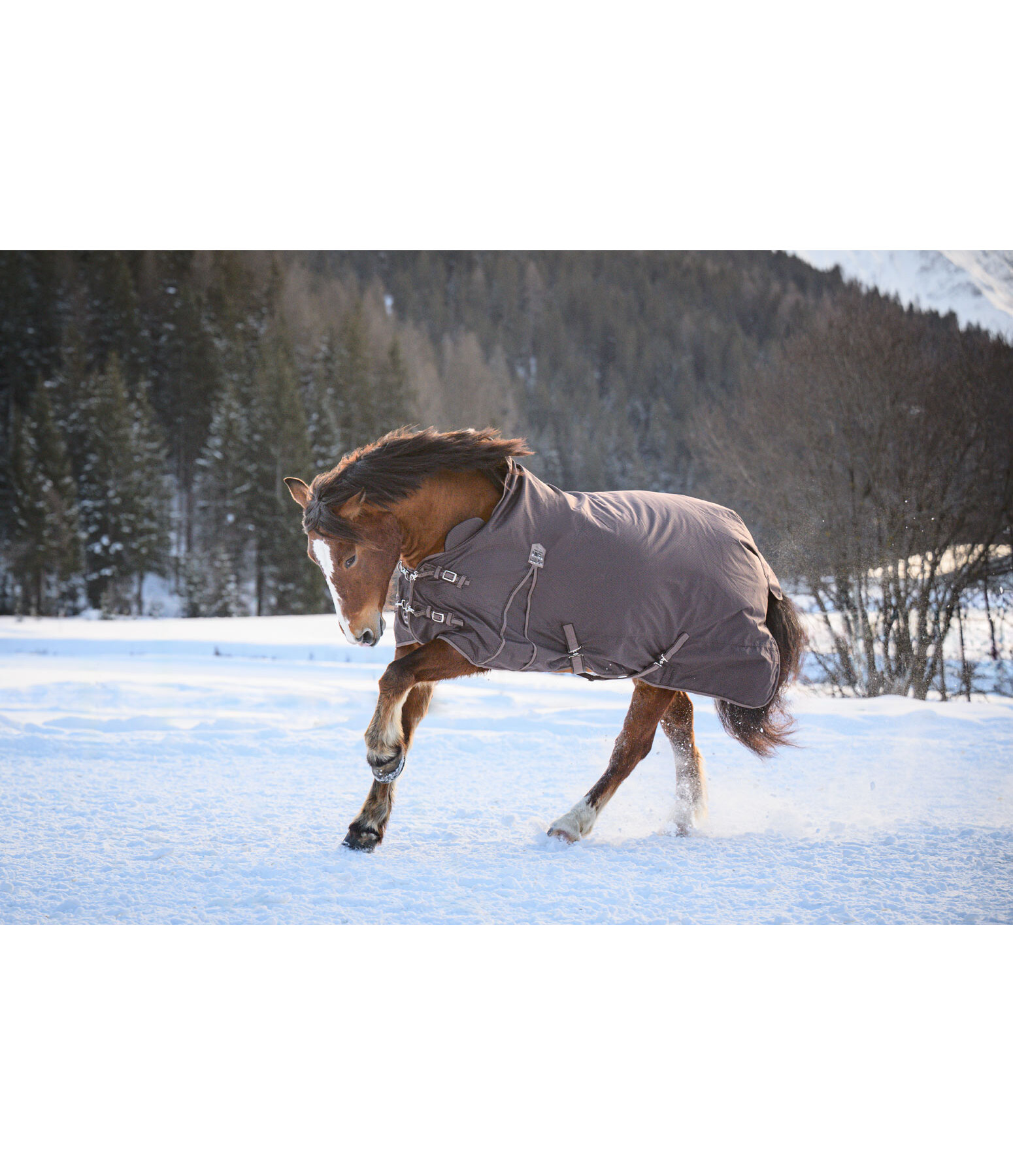 Highneck Outdoordecke Jesco II mit Fleeceinnenfutter, 100 g