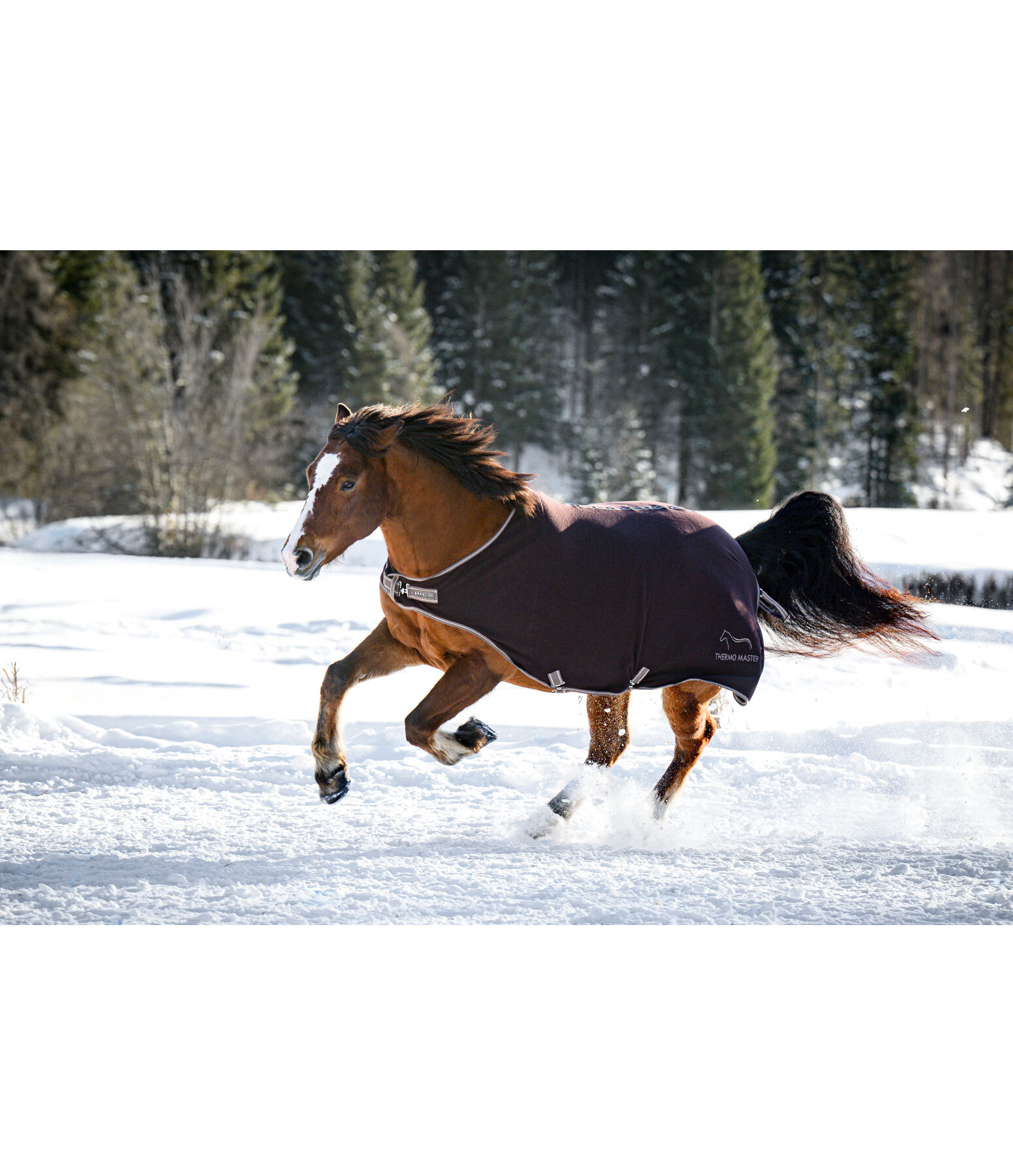 Fleece-Walker Activity