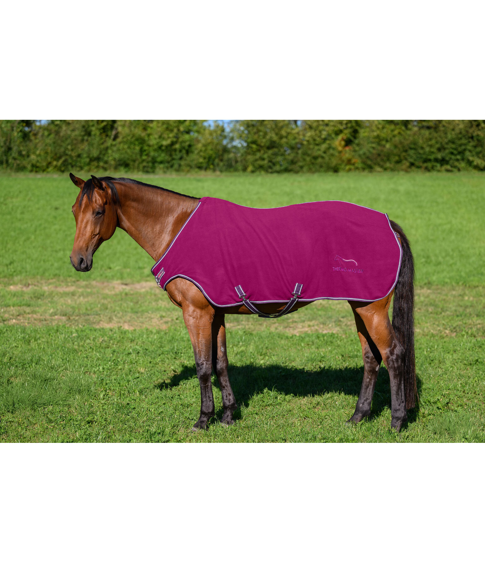 Fleece-Walker Activity