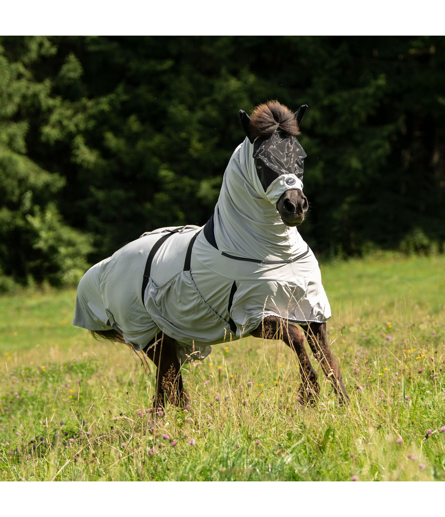 Isländer Ekzemerdecke