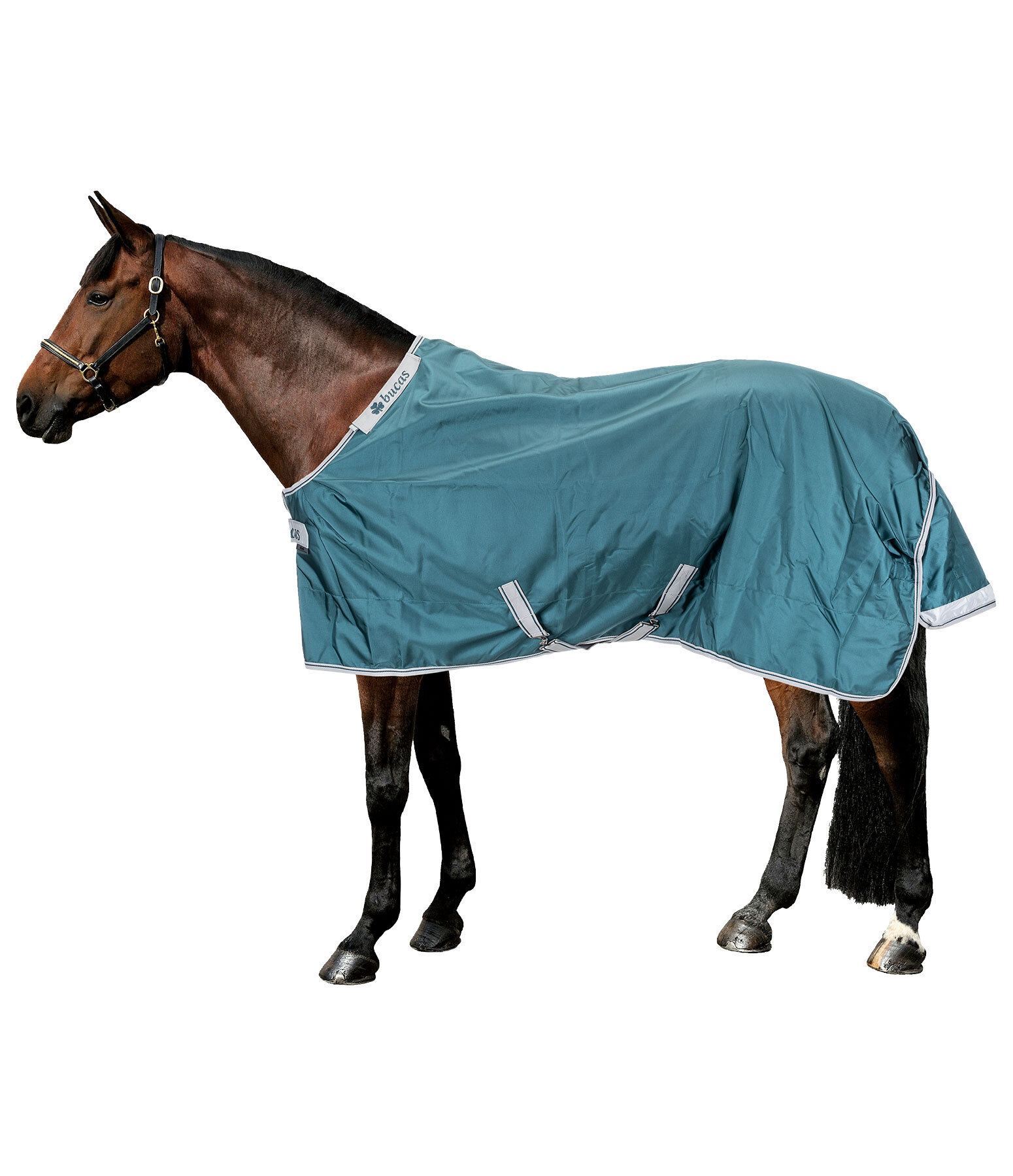 Outdoordecke Atlantic Turnout 50 Regularneck mit Dermo-Care, 50 g