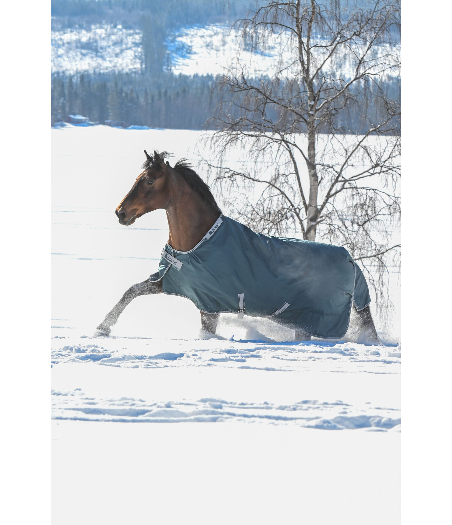 Outdoordecke Atlantic Turnout 50 Regularneck mit Dermo-Care, 50 g