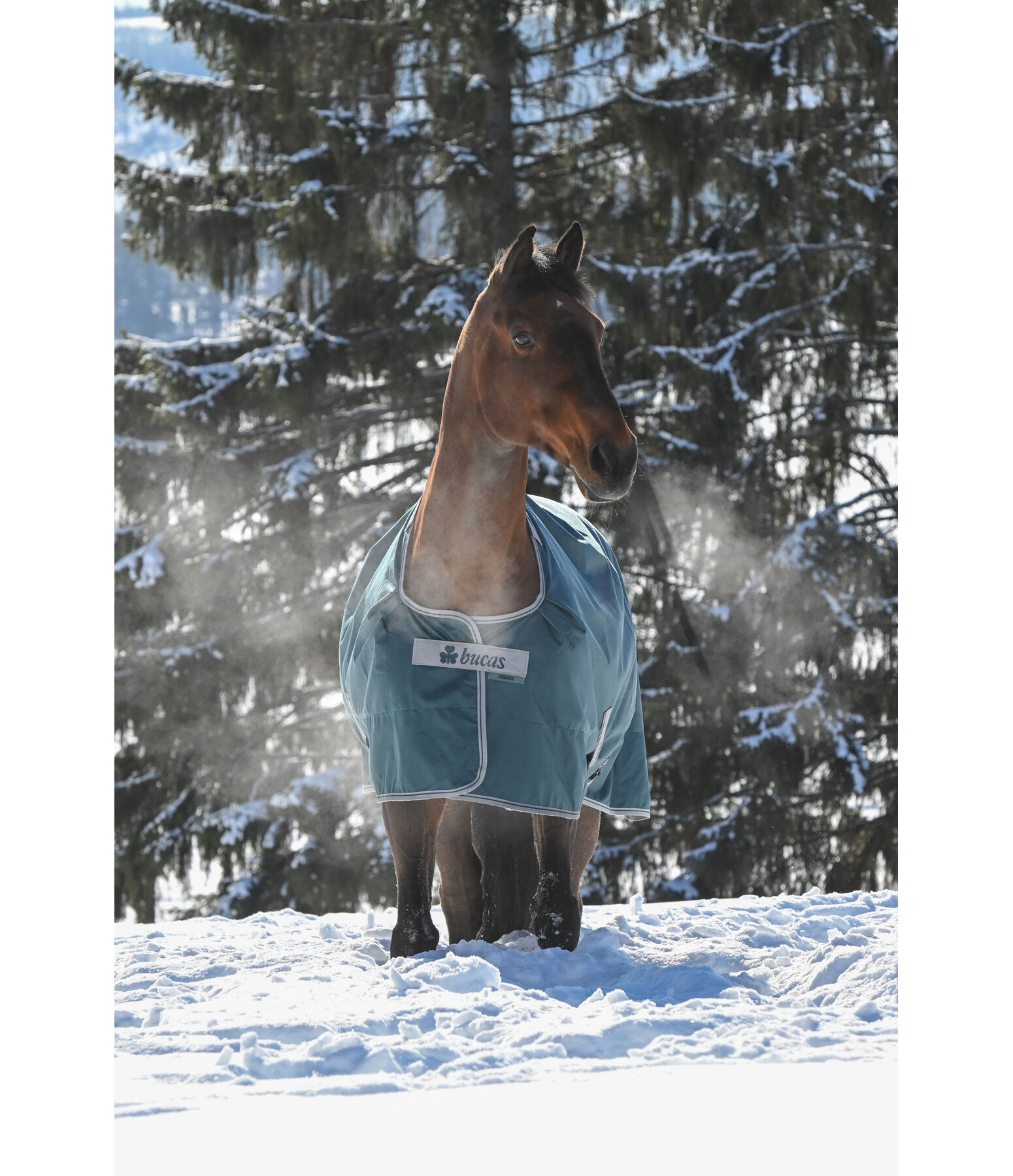Outdoordecke Atlantic Turnout 50 Regularneck mit Dermo-Care, 50 g