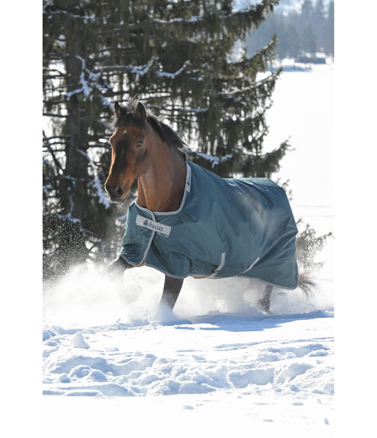Outdoordecke Atlantic Turnout 50 Regularneck mit Dermo-Care, 50 g
