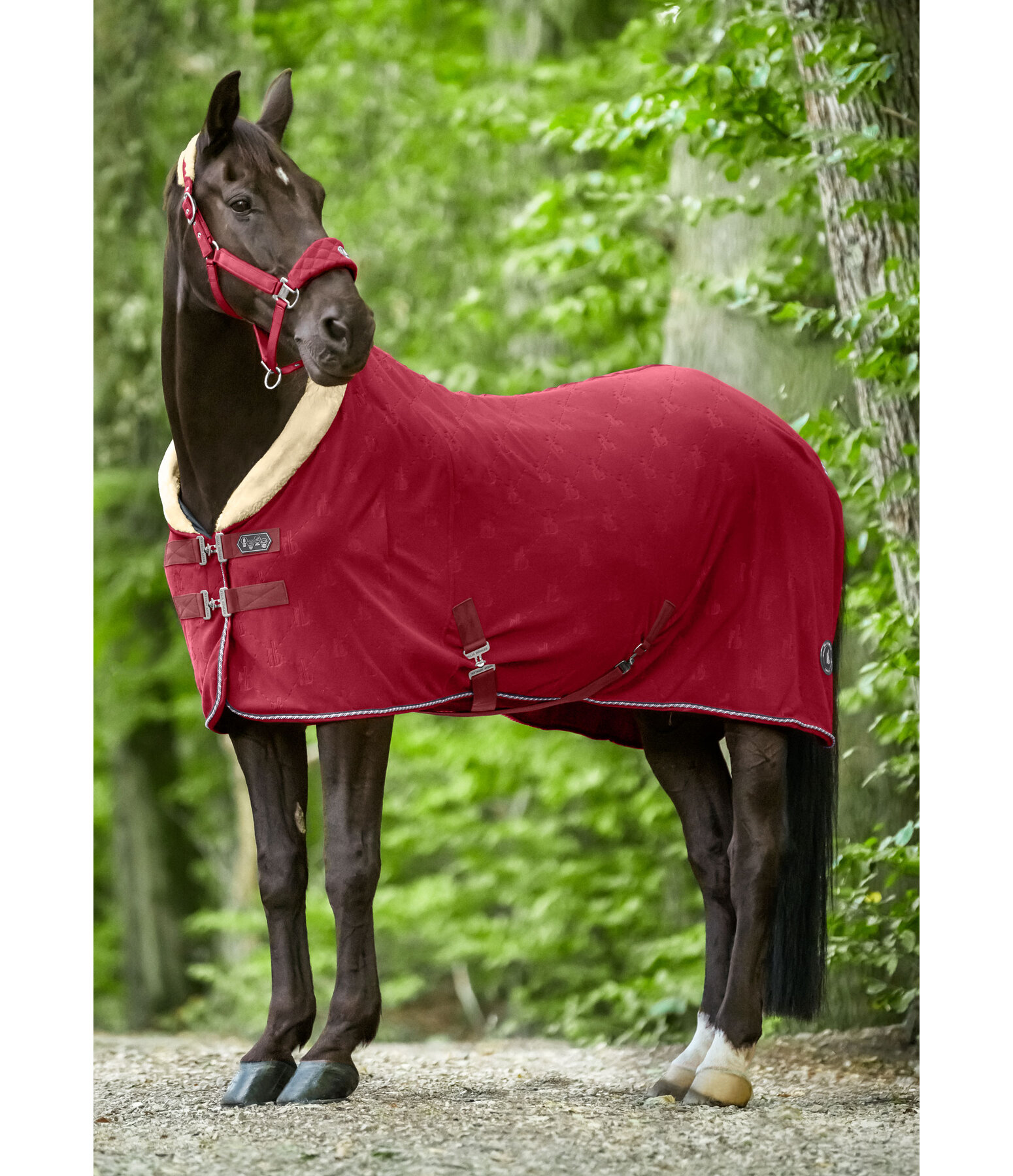 Fleece-Abschwitzdecke Equestrian Sports